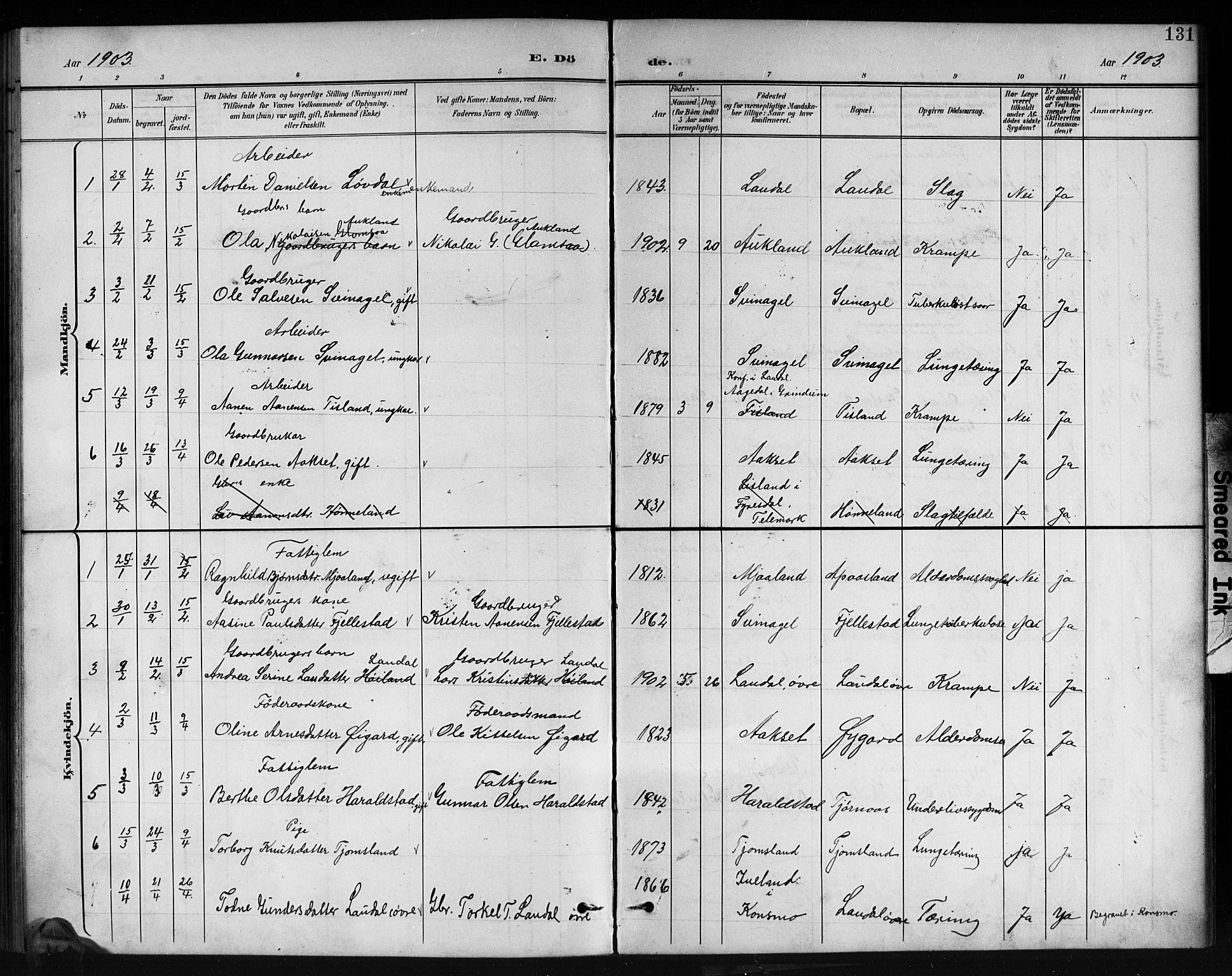 Holum sokneprestkontor, SAK/1111-0022/F/Fb/Fbb/L0004: Parish register (copy) no. B 4, 1899-1920, p. 131