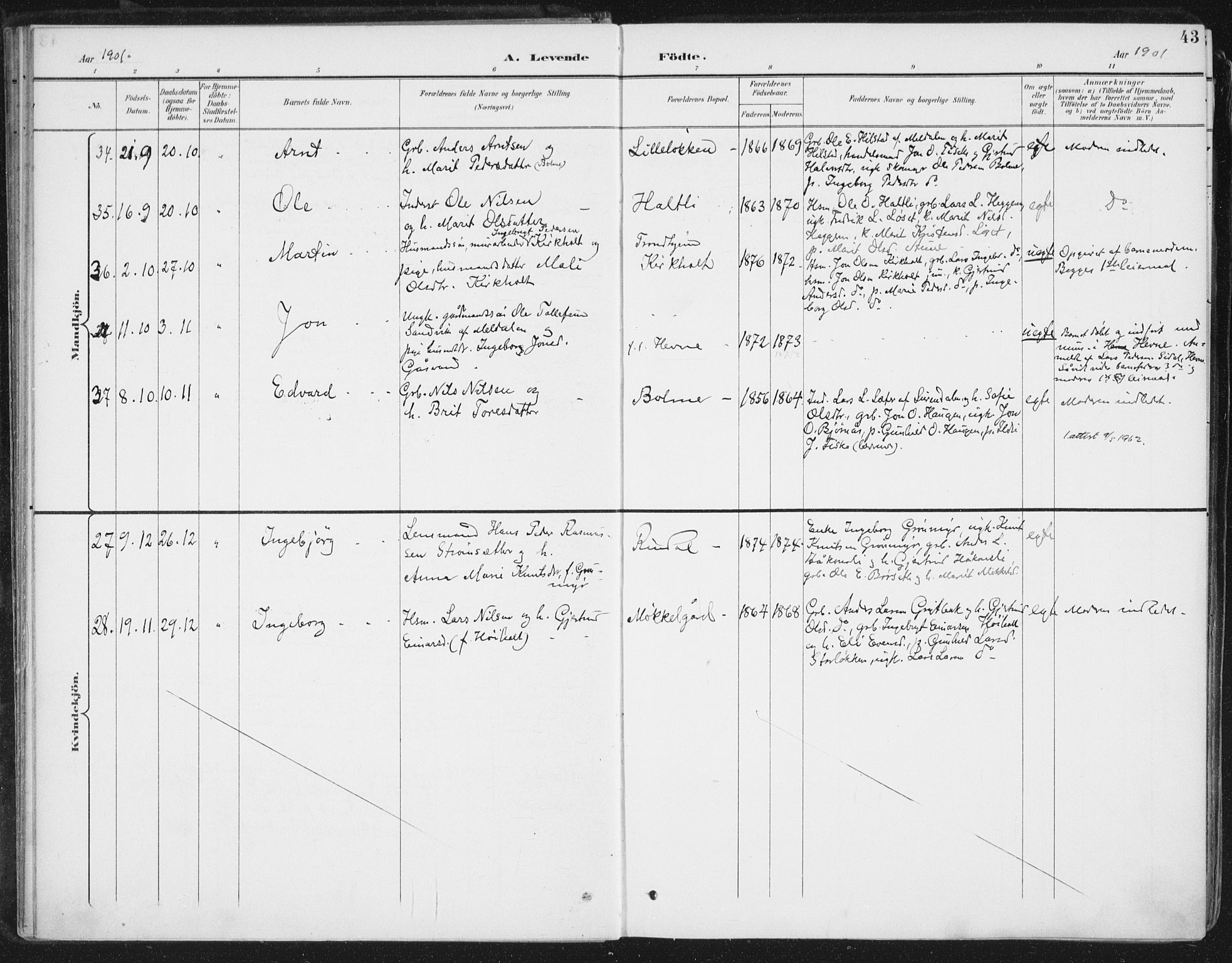 Ministerialprotokoller, klokkerbøker og fødselsregistre - Møre og Romsdal, AV/SAT-A-1454/598/L1072: Parish register (official) no. 598A06, 1896-1910, p. 43