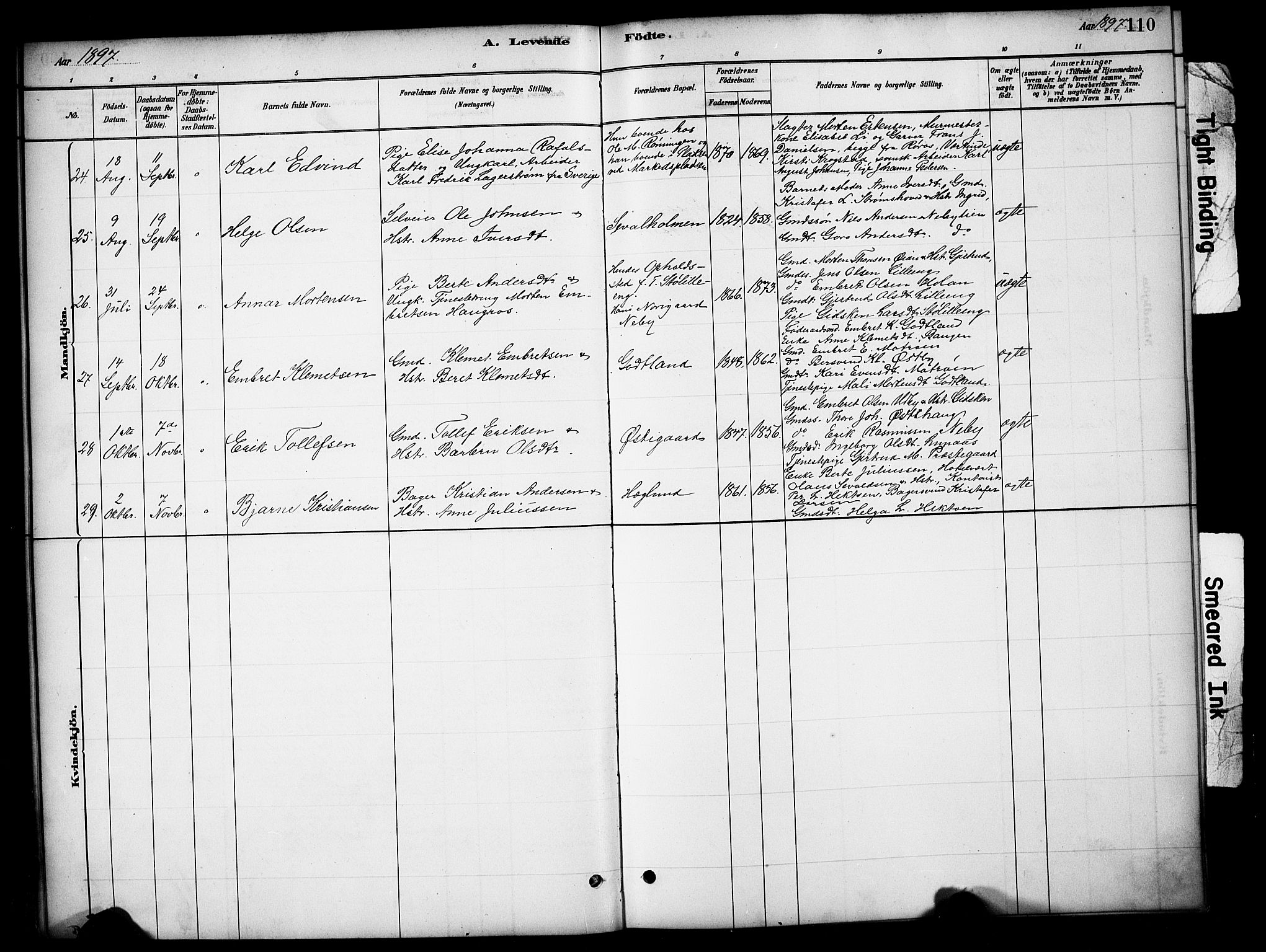 Tynset prestekontor, SAH/PREST-058/H/Ha/Hab/L0006: Parish register (copy) no. 6, 1880-1899, p. 110
