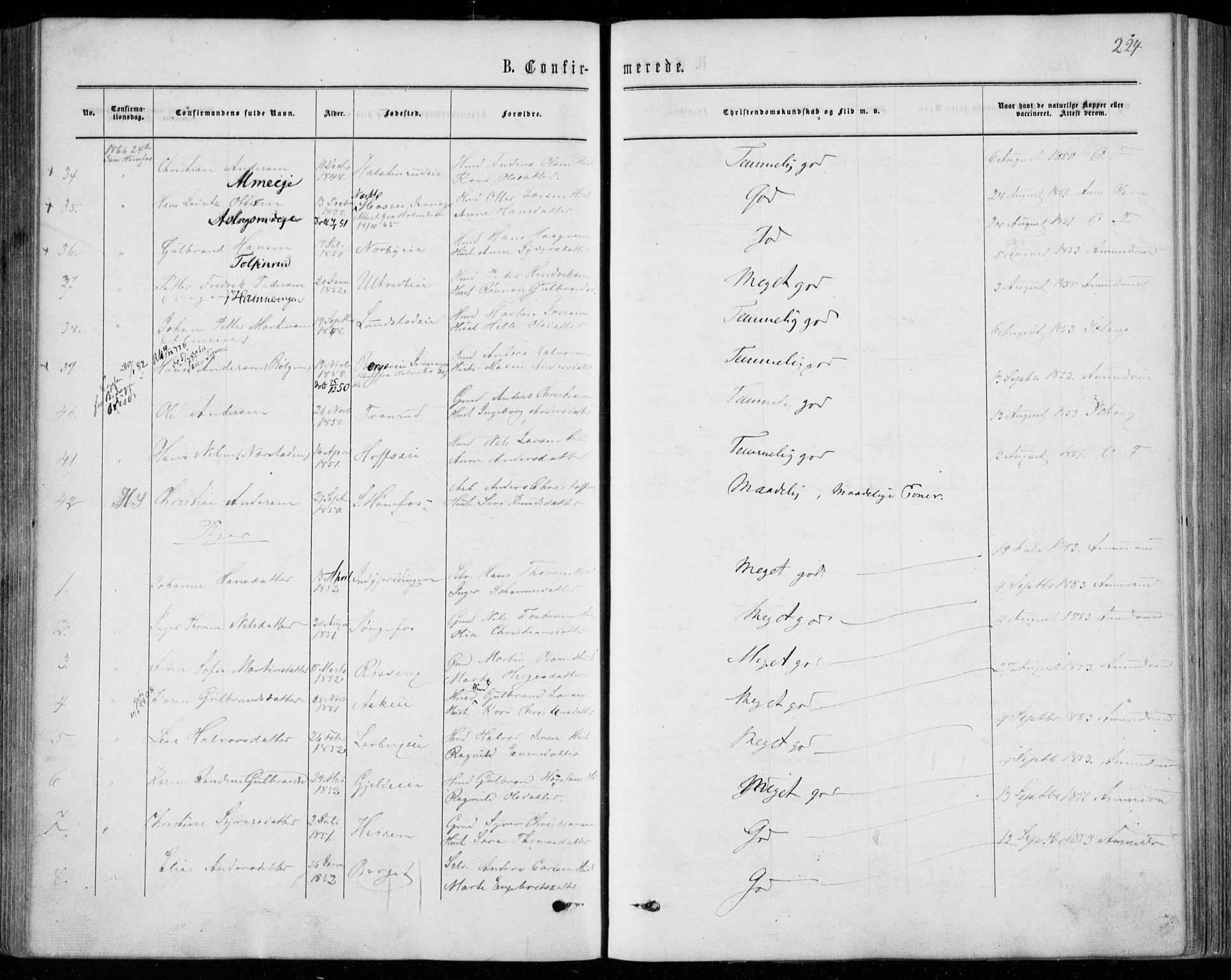 Norderhov kirkebøker, AV/SAKO-A-237/F/Fa/L0013: Parish register (official) no. 13, 1866-1874, p. 224