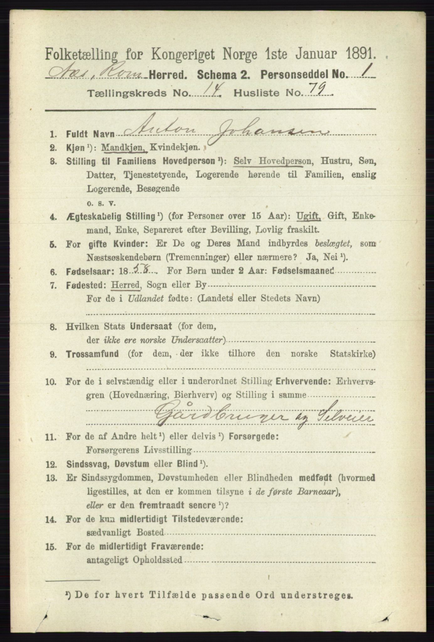 RA, 1891 census for 0236 Nes, 1891, p. 8917