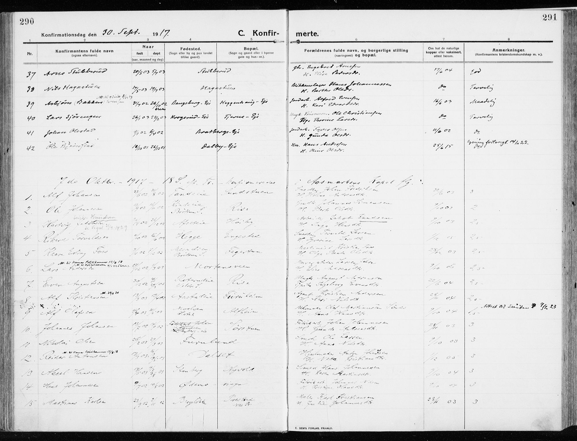 Ringsaker prestekontor, AV/SAH-PREST-014/K/Ka/L0020: Parish register (official) no. 20, 1913-1922, p. 290-291