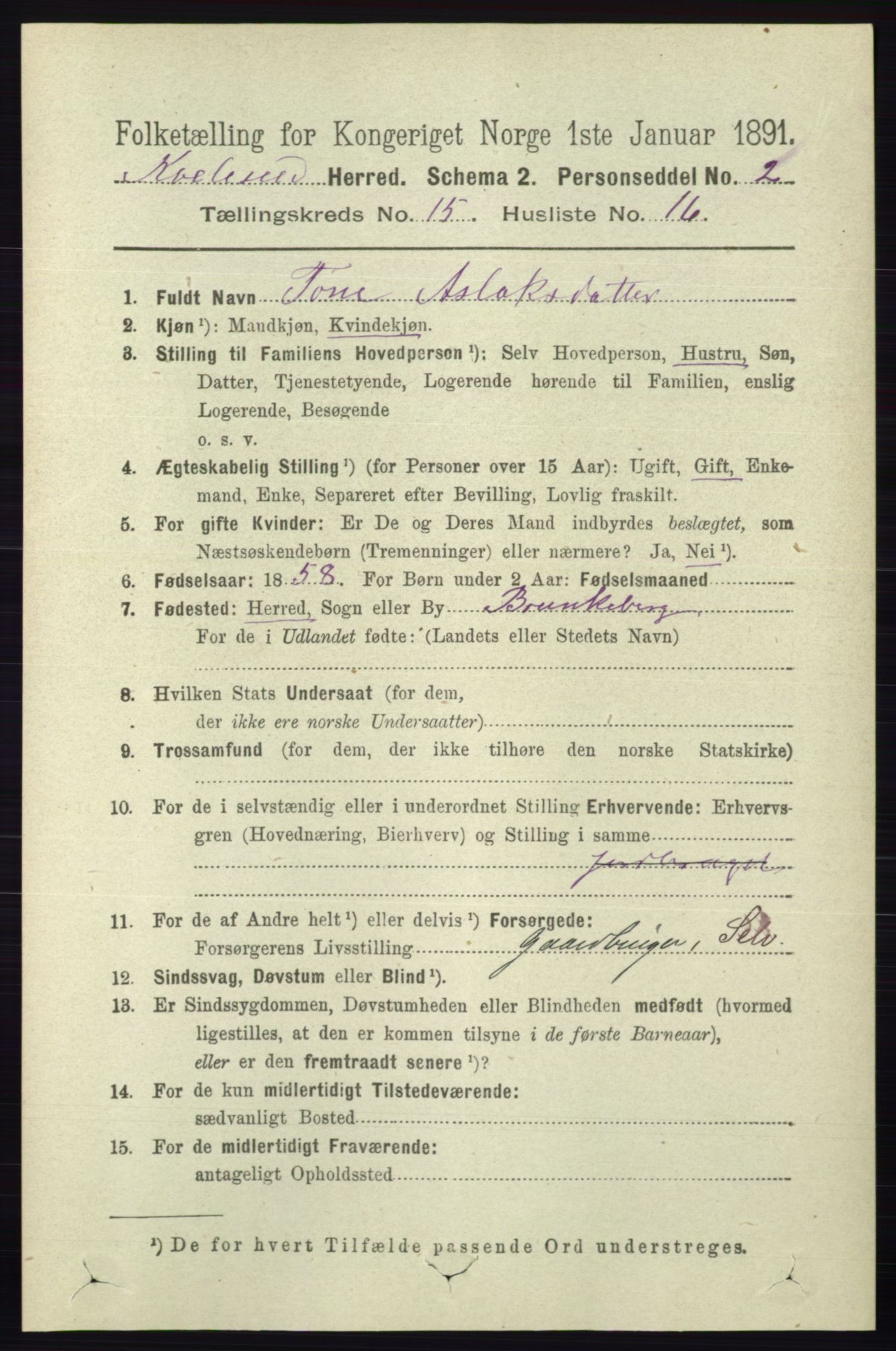 RA, 1891 census for 0829 Kviteseid, 1891, p. 3598