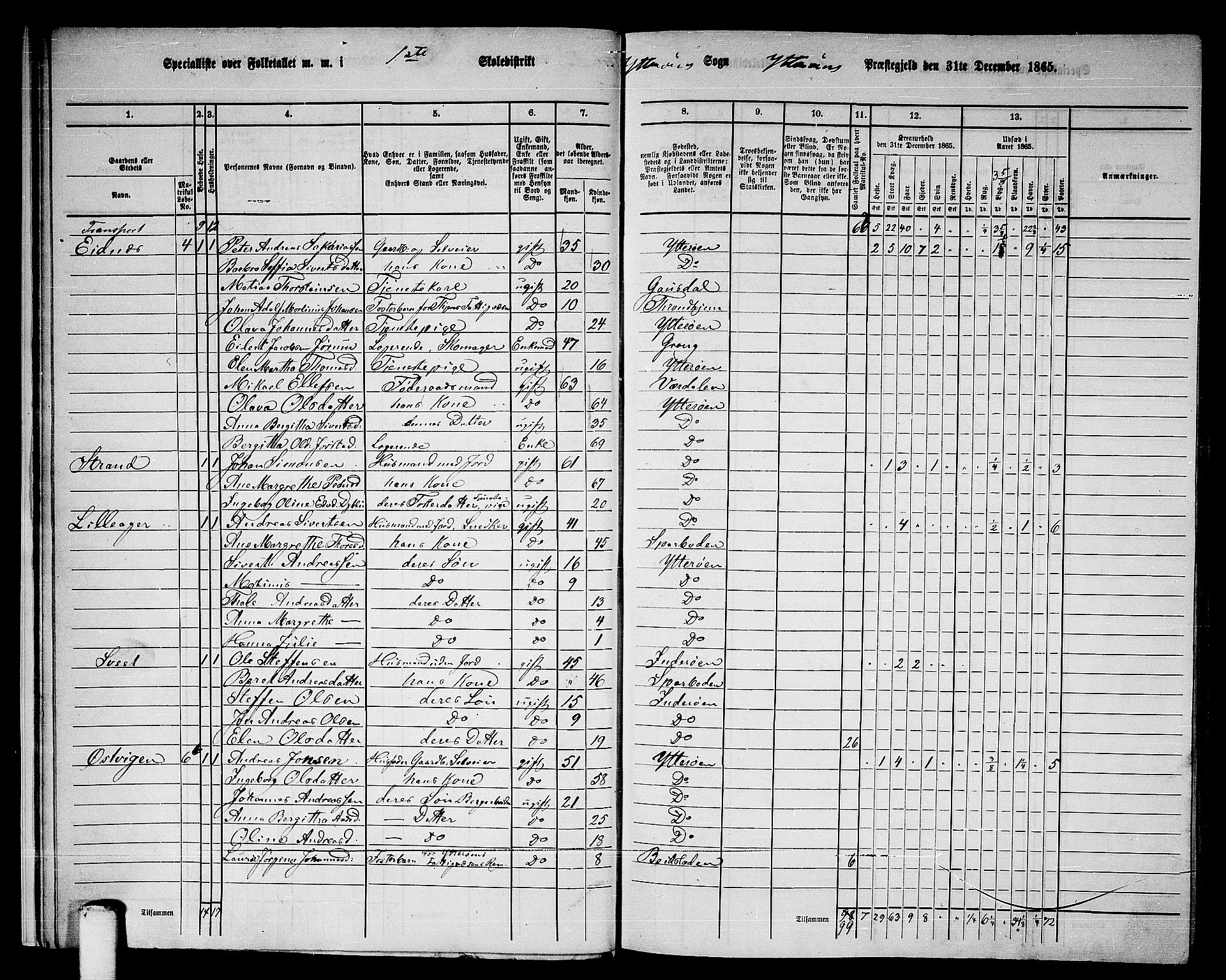 RA, 1865 census for Ytterøy, 1865, p. 13