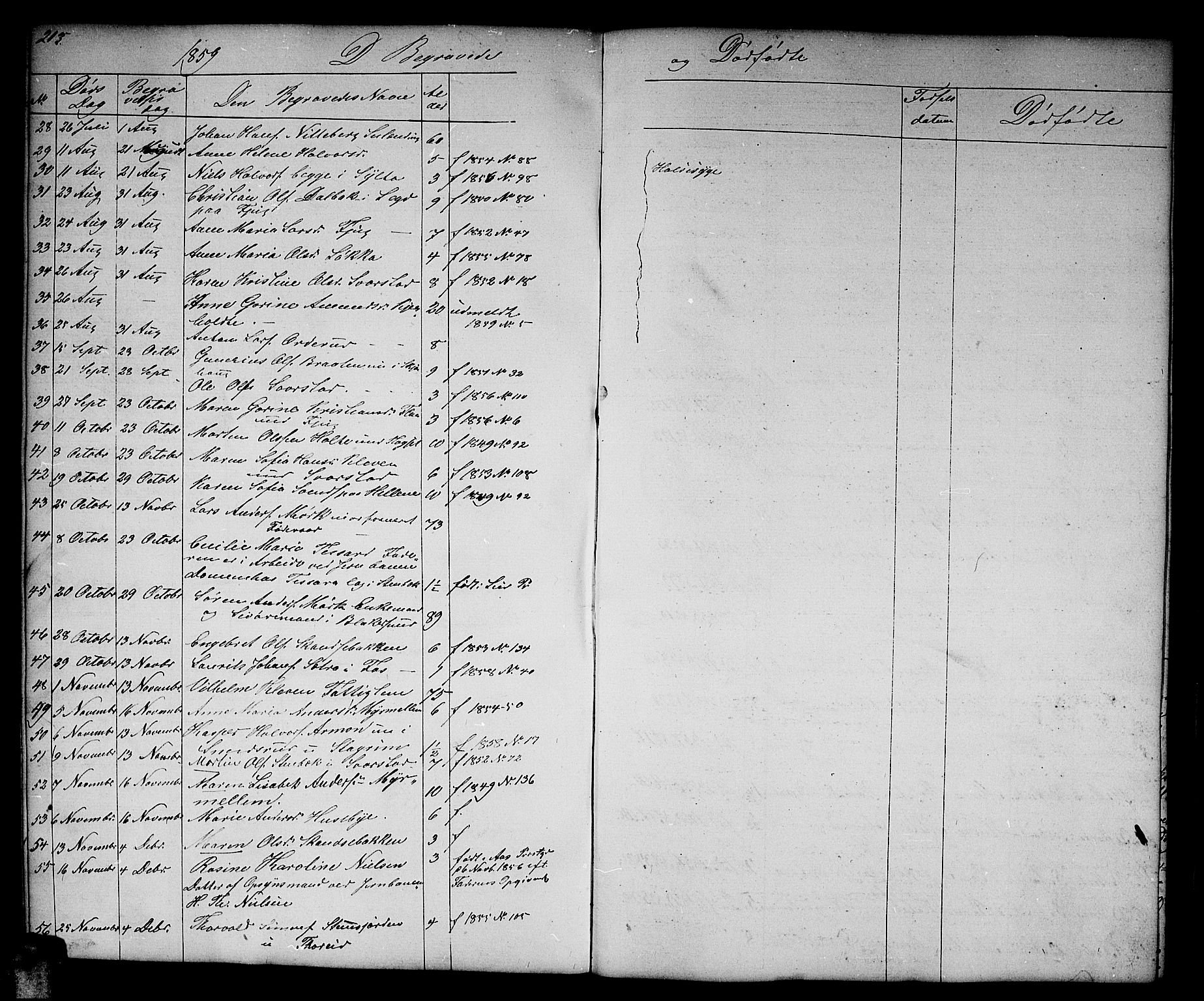 Aurskog prestekontor Kirkebøker, SAO/A-10304a/G/Gb/L0001: Parish register (copy) no. II 1, 1858-1885, p. 215