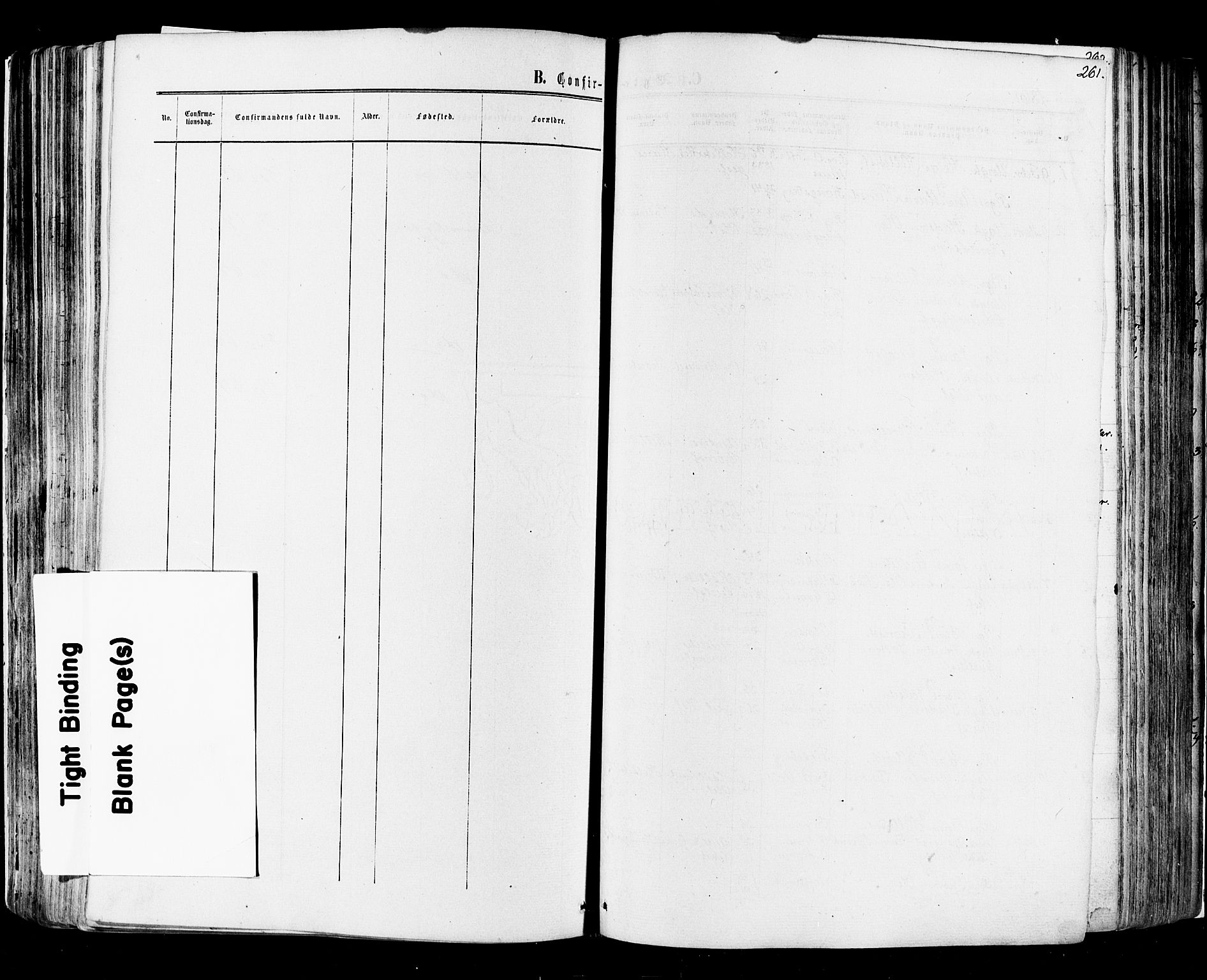 Flesberg kirkebøker, SAKO/A-18/F/Fa/L0007: Parish register (official) no. I 7, 1861-1878, p. 261