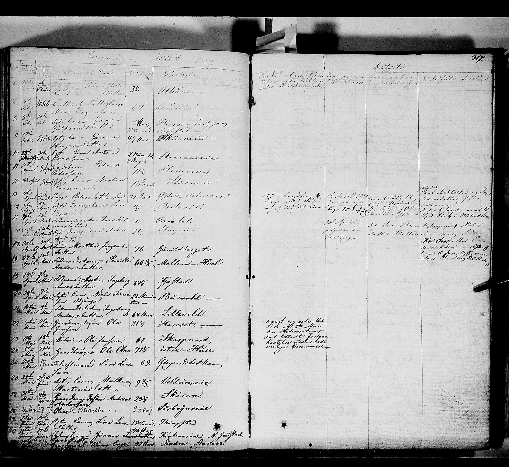 Romedal prestekontor, SAH/PREST-004/K/L0004: Parish register (official) no. 4, 1847-1861, p. 317