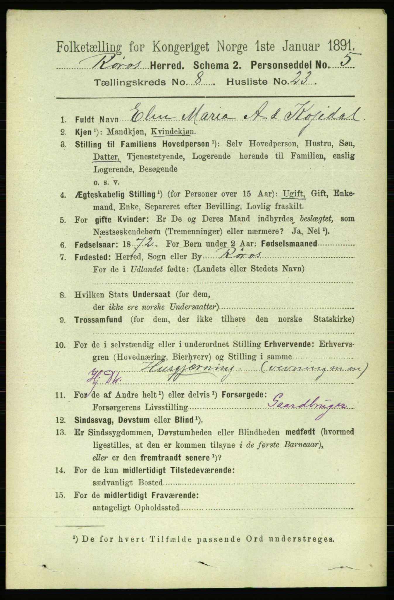 RA, 1891 census for 1640 Røros, 1891, p. 1769