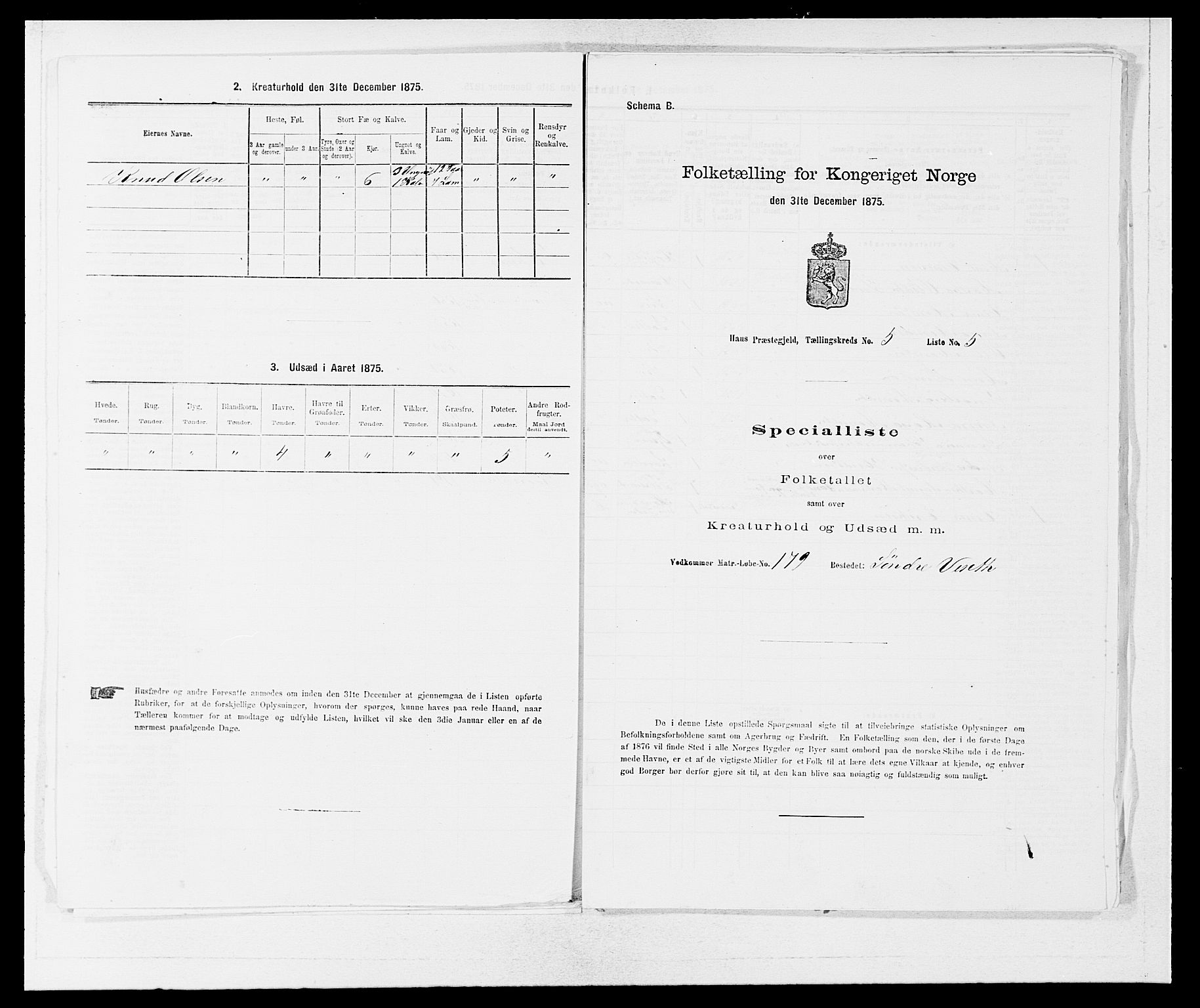 SAB, 1875 census for 1250P Haus, 1875, p. 525