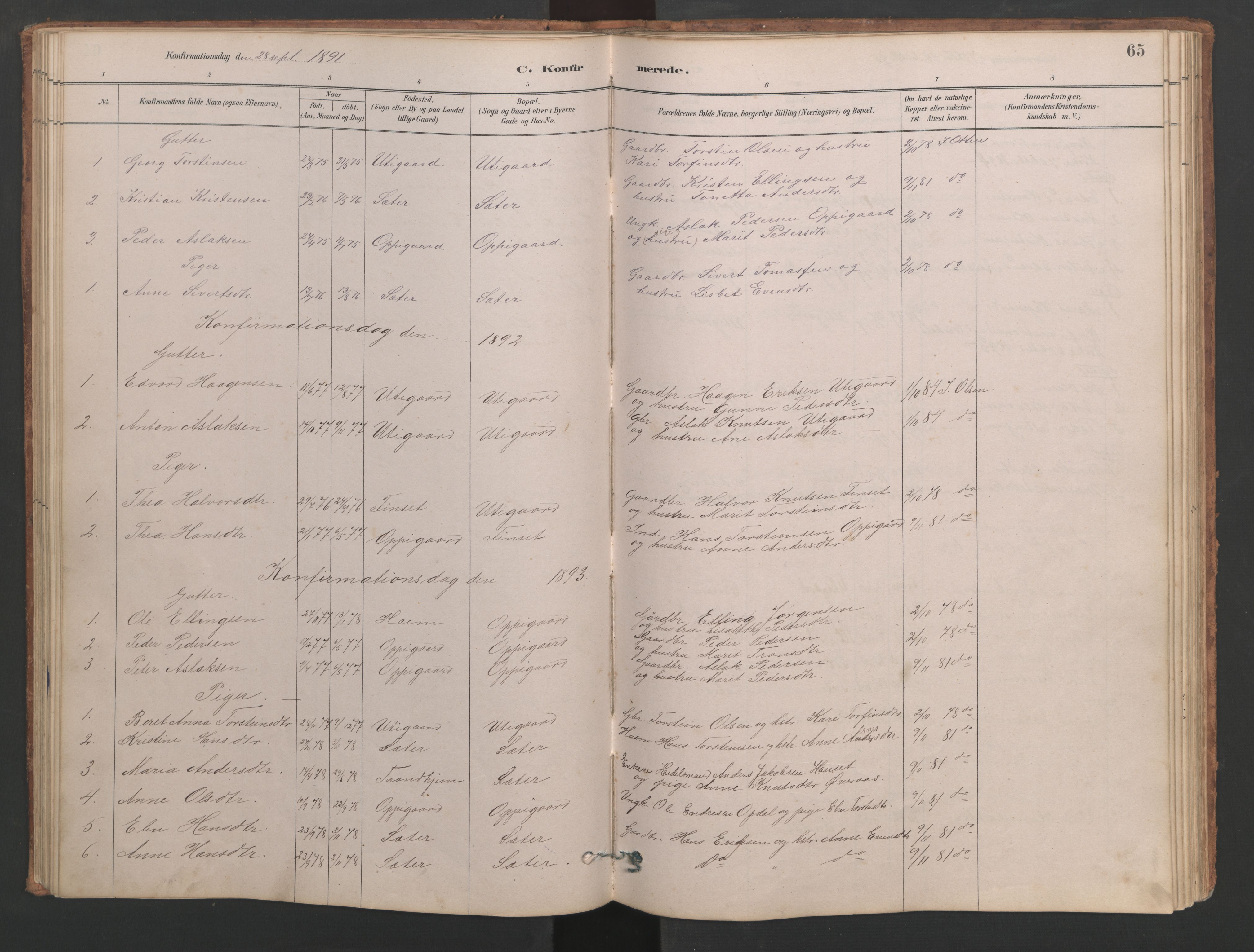 Ministerialprotokoller, klokkerbøker og fødselsregistre - Møre og Romsdal, AV/SAT-A-1454/553/L0642: Parish register (copy) no. 553C01, 1880-1968, p. 65