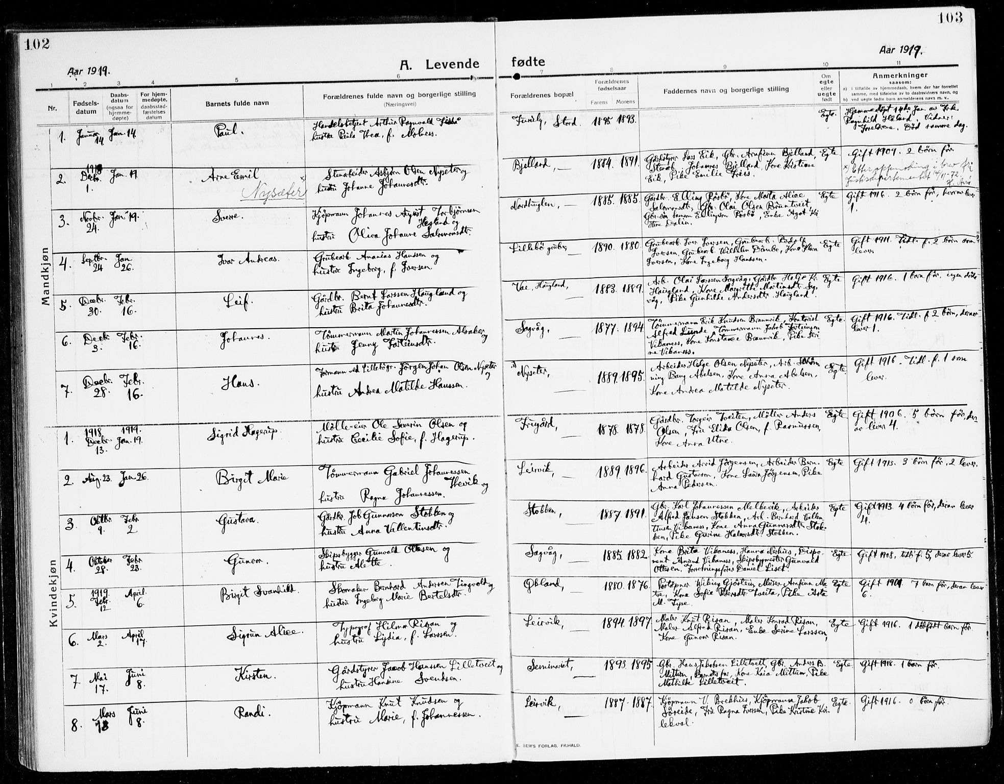 Stord sokneprestembete, AV/SAB-A-78201/H/Haa: Parish register (official) no. B 3, 1913-1925, p. 102-103