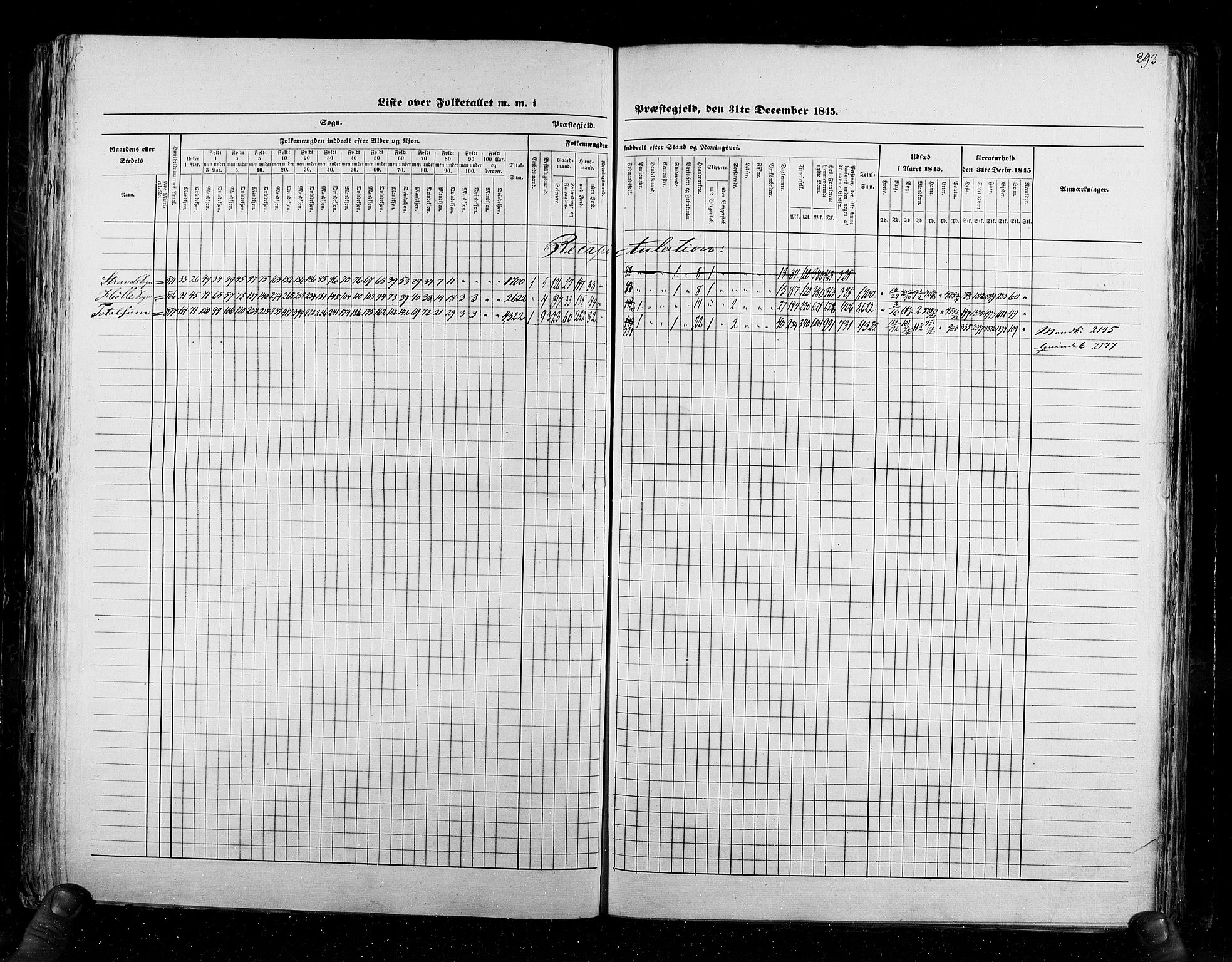 RA, Census 1845, vol. 6: Lister og Mandal amt og Stavanger amt, 1845, p. 293