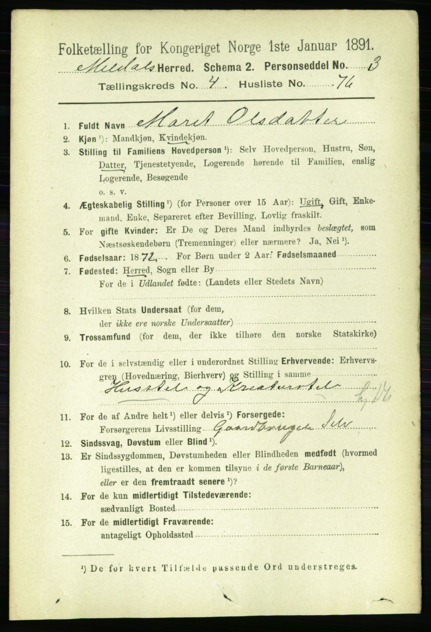 RA, 1891 census for 1636 Meldal, 1891, p. 2454