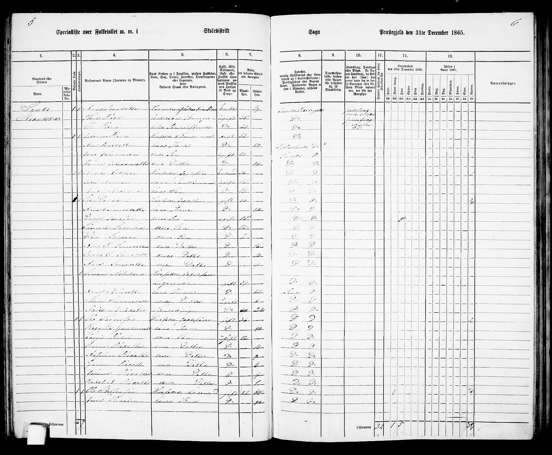 RA, 1865 census for Sand, 1865, p. 49