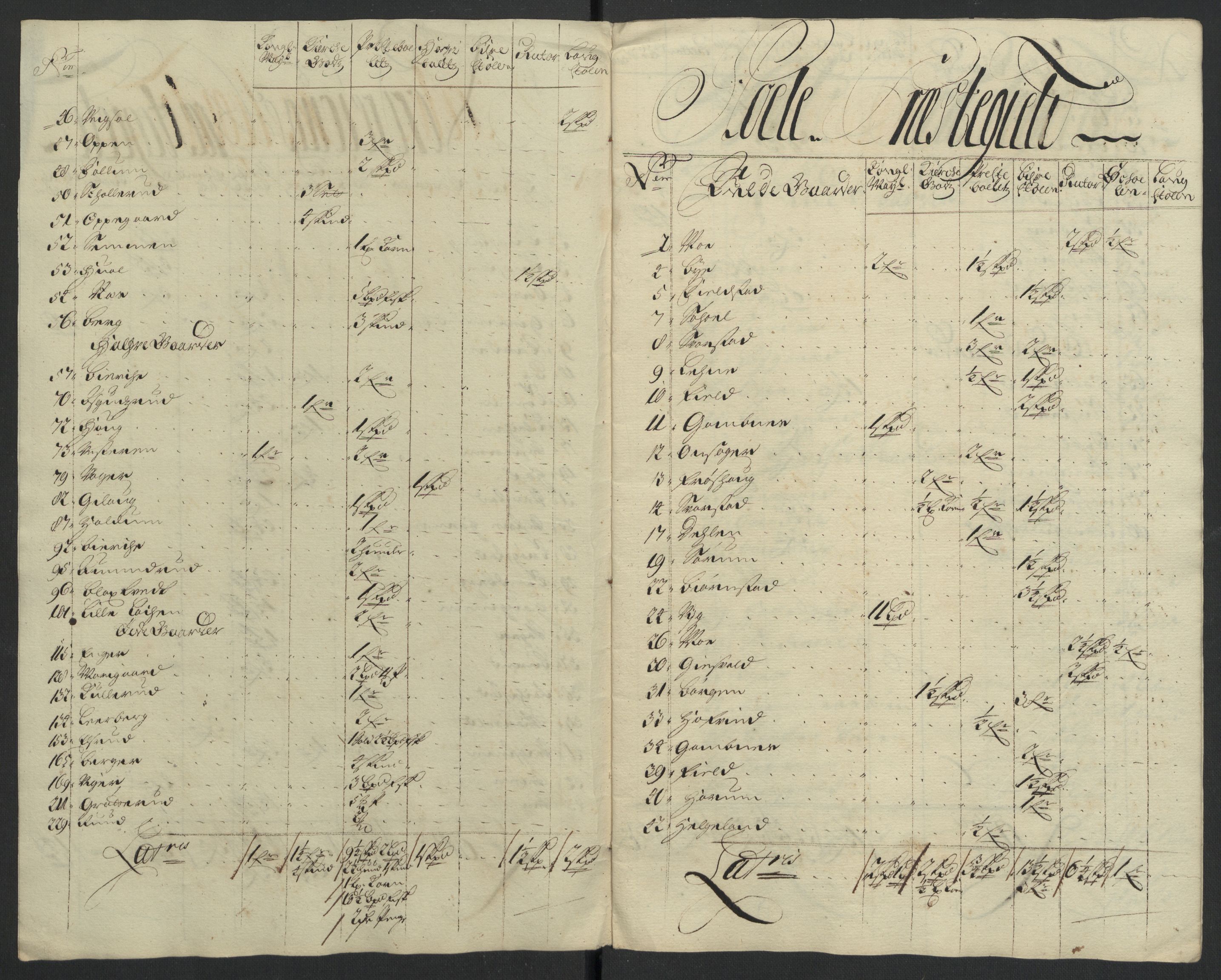 Rentekammeret inntil 1814, Reviderte regnskaper, Fogderegnskap, RA/EA-4092/R22/L1459: Fogderegnskap Ringerike, Hallingdal og Buskerud, 1702, p. 225