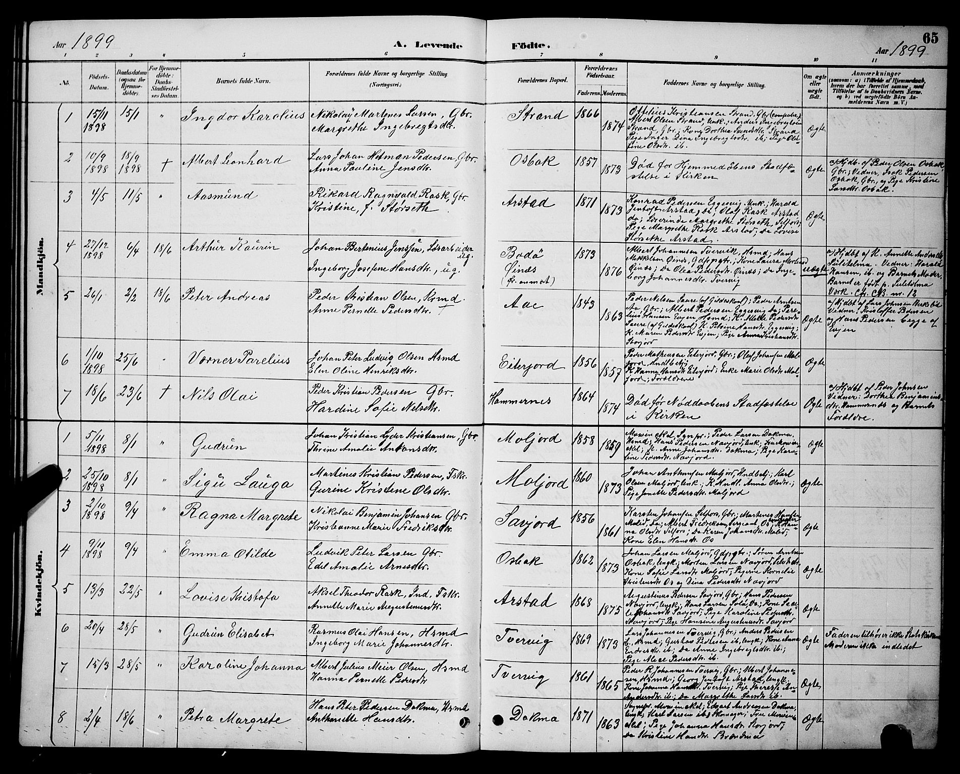 Ministerialprotokoller, klokkerbøker og fødselsregistre - Nordland, AV/SAT-A-1459/846/L0654: Parish register (copy) no. 846C04, 1887-1901, p. 65