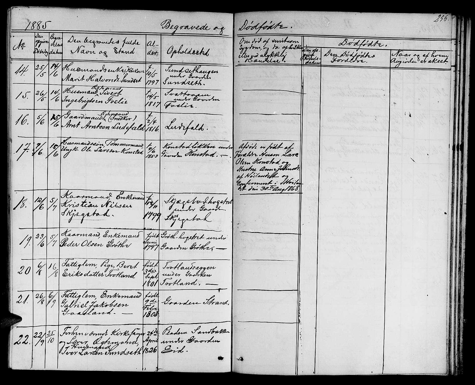 Ministerialprotokoller, klokkerbøker og fødselsregistre - Sør-Trøndelag, SAT/A-1456/694/L1131: Parish register (copy) no. 694C03, 1858-1886, p. 256