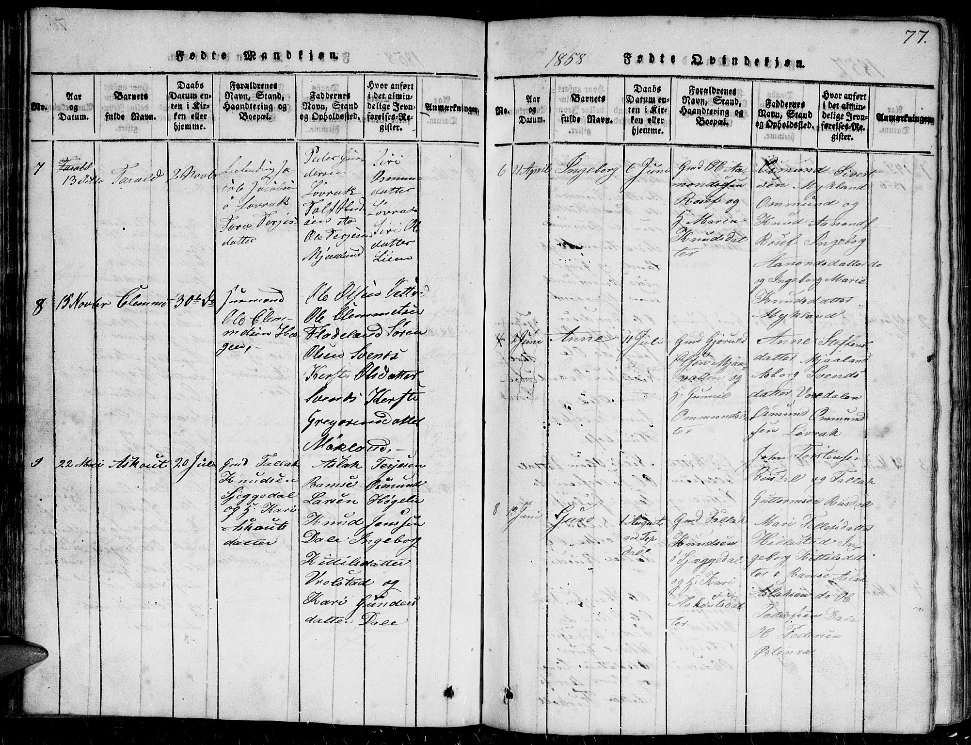 Herefoss sokneprestkontor, AV/SAK-1111-0019/F/Fb/Fbc/L0001: Parish register (copy) no. B 1, 1816-1866, p. 77