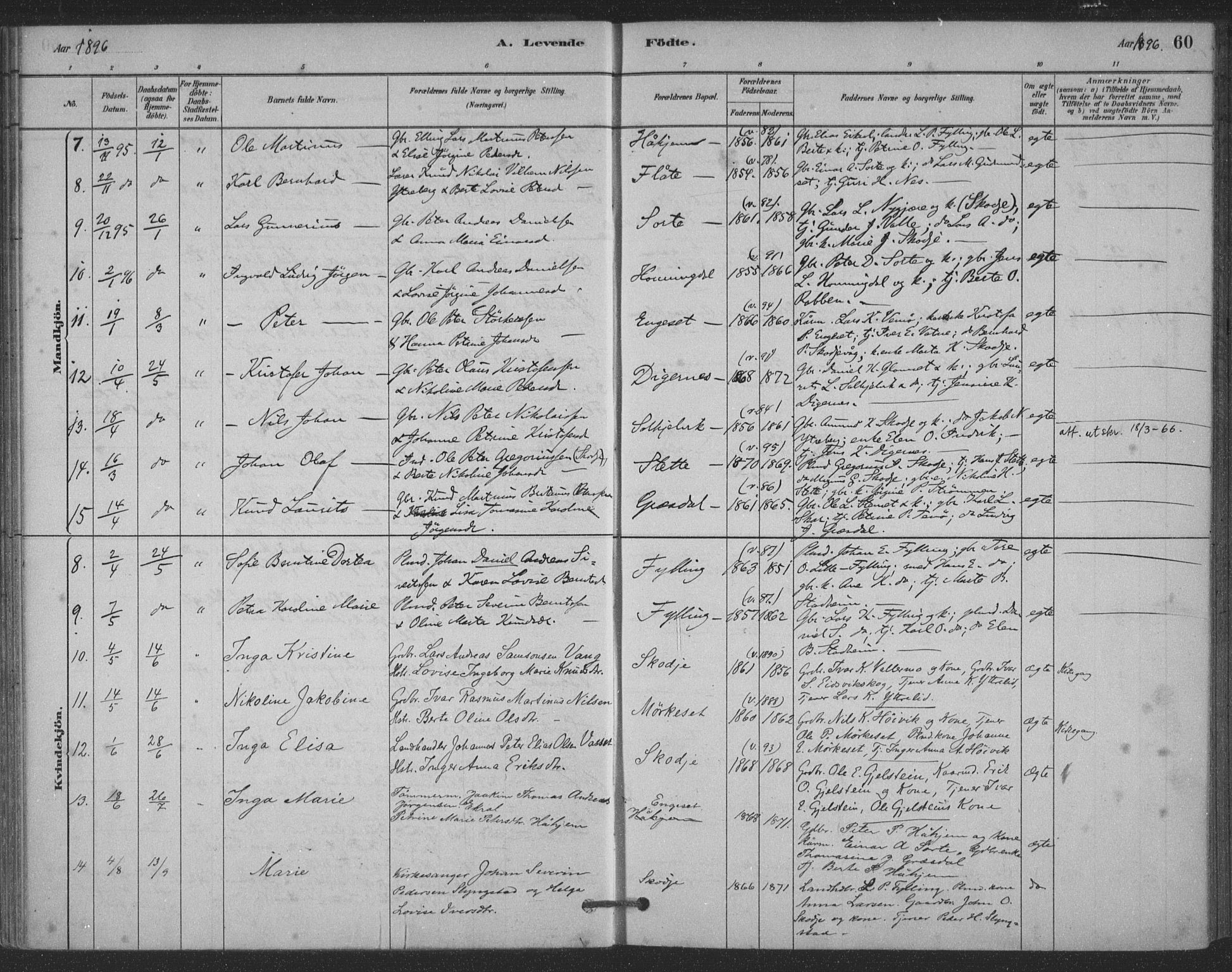 Ministerialprotokoller, klokkerbøker og fødselsregistre - Møre og Romsdal, AV/SAT-A-1454/524/L0356: Parish register (official) no. 524A08, 1880-1899, p. 60