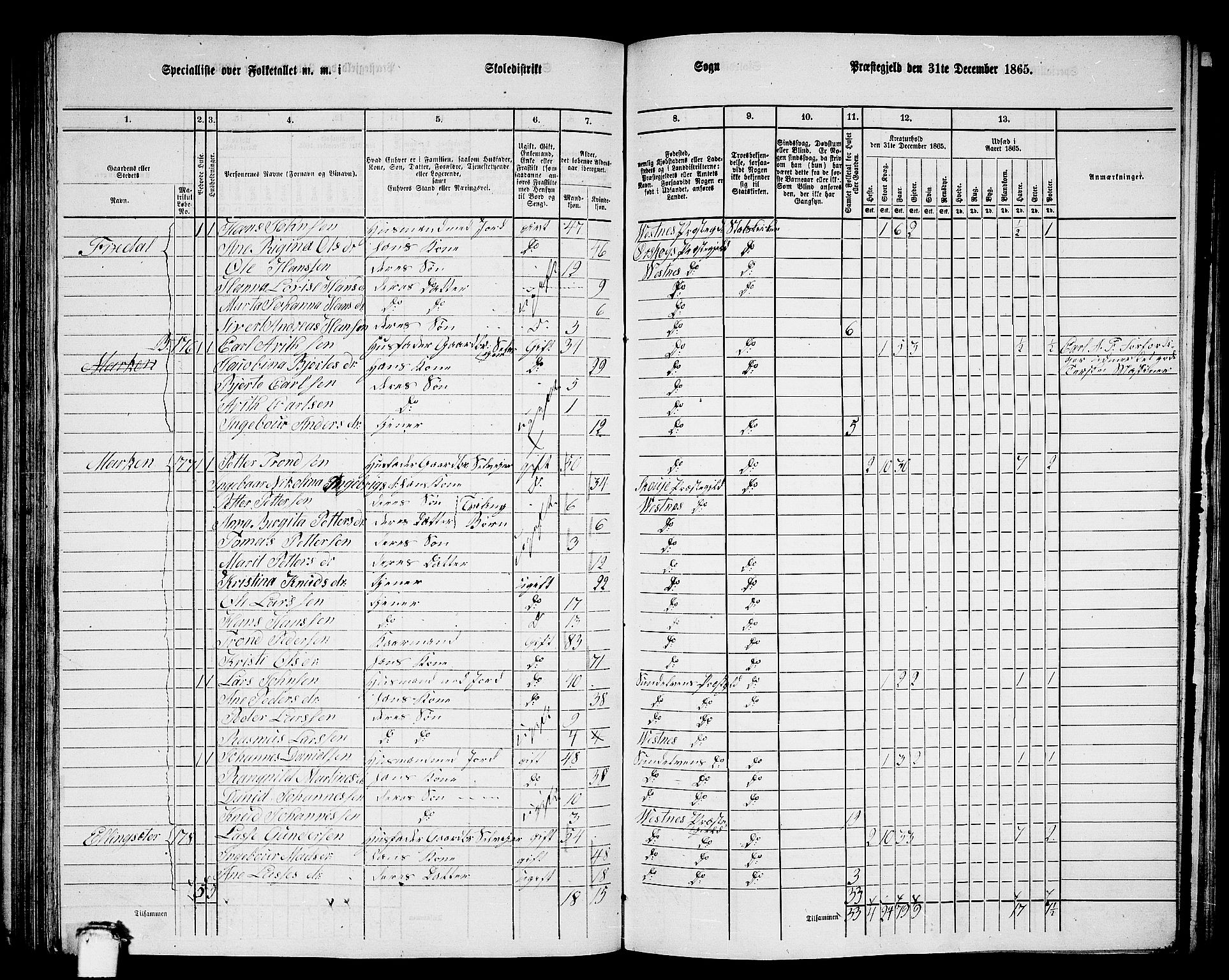 RA, 1865 census for Vestnes, 1865, p. 122