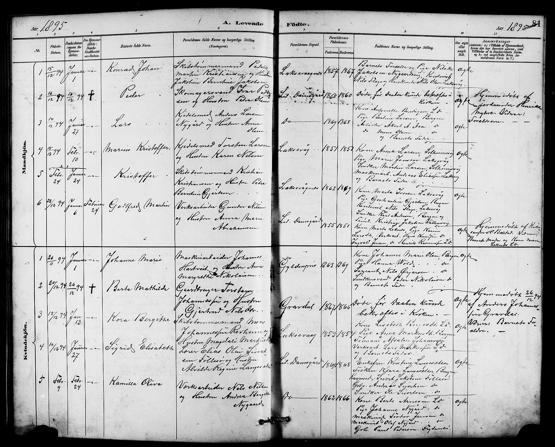 Laksevåg Sokneprestembete, SAB/A-76501/H/Ha/Hab/Haba/L0003: Parish register (copy) no. A 3, 1887-1899, p. 81