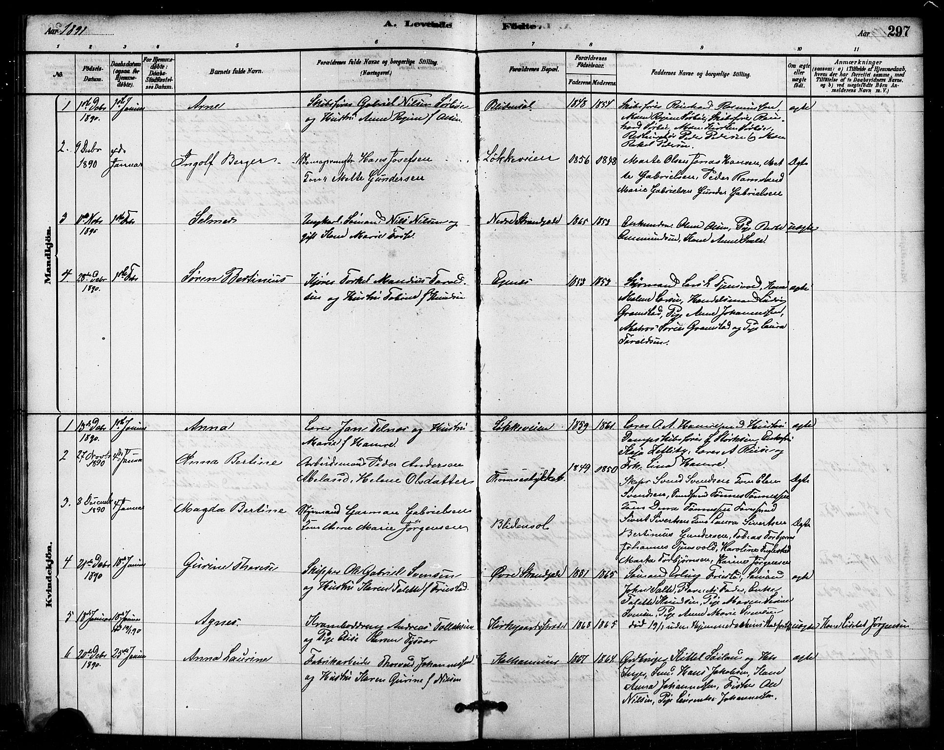Domkirken sokneprestkontor, SAST/A-101812/001/30/30BB/L0015: Parish register (copy) no. B 15, 1880-1891, p. 297
