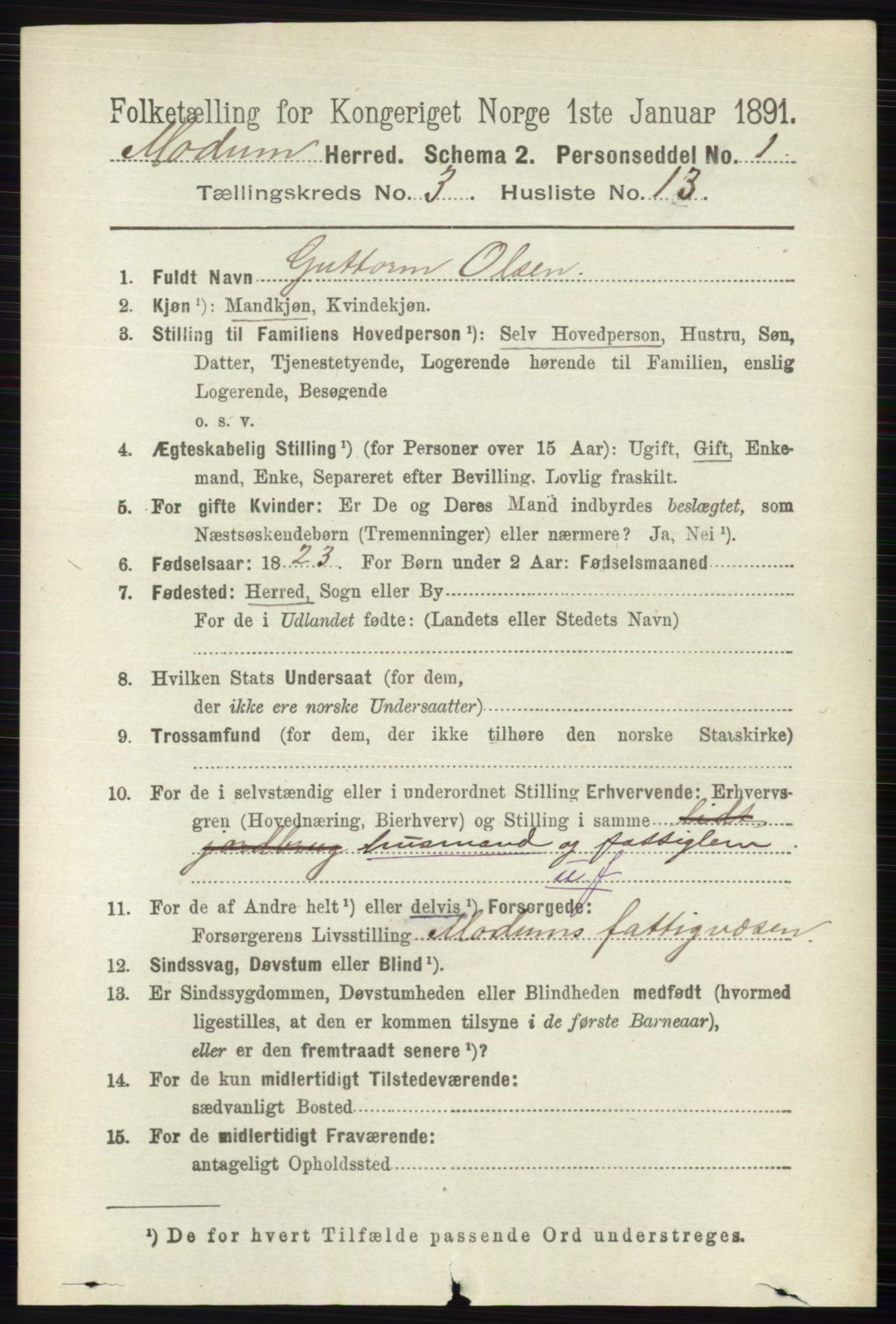 RA, 1891 census for 0623 Modum, 1891, p. 795