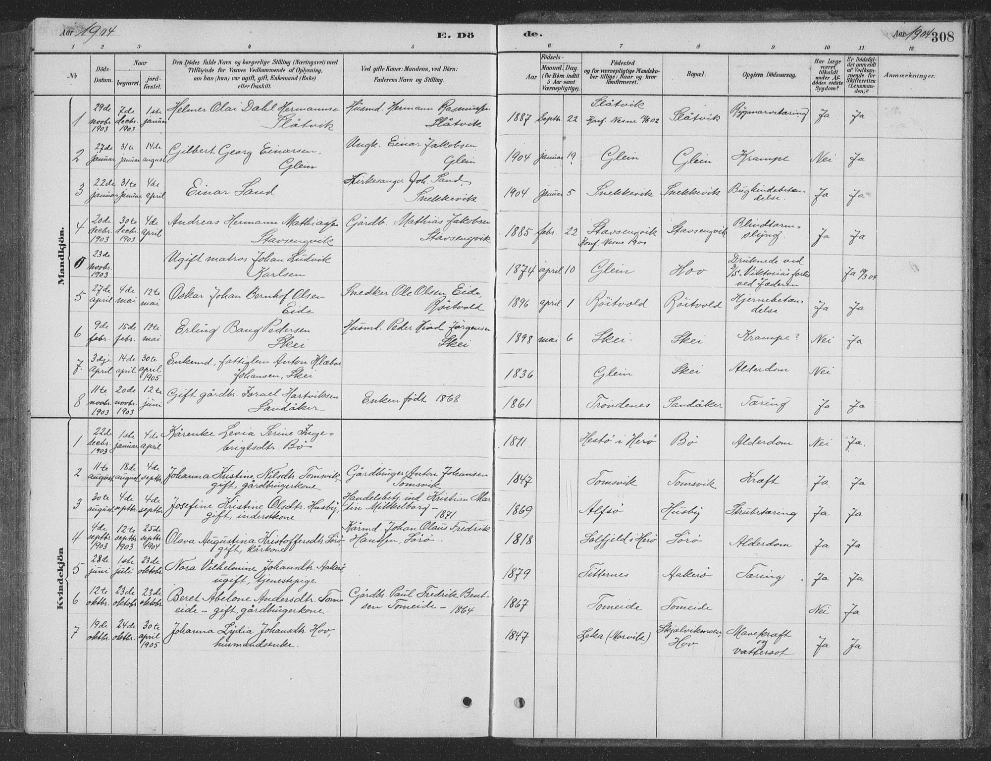 Ministerialprotokoller, klokkerbøker og fødselsregistre - Nordland, AV/SAT-A-1459/835/L0532: Parish register (copy) no. 835C04, 1880-1905, p. 308