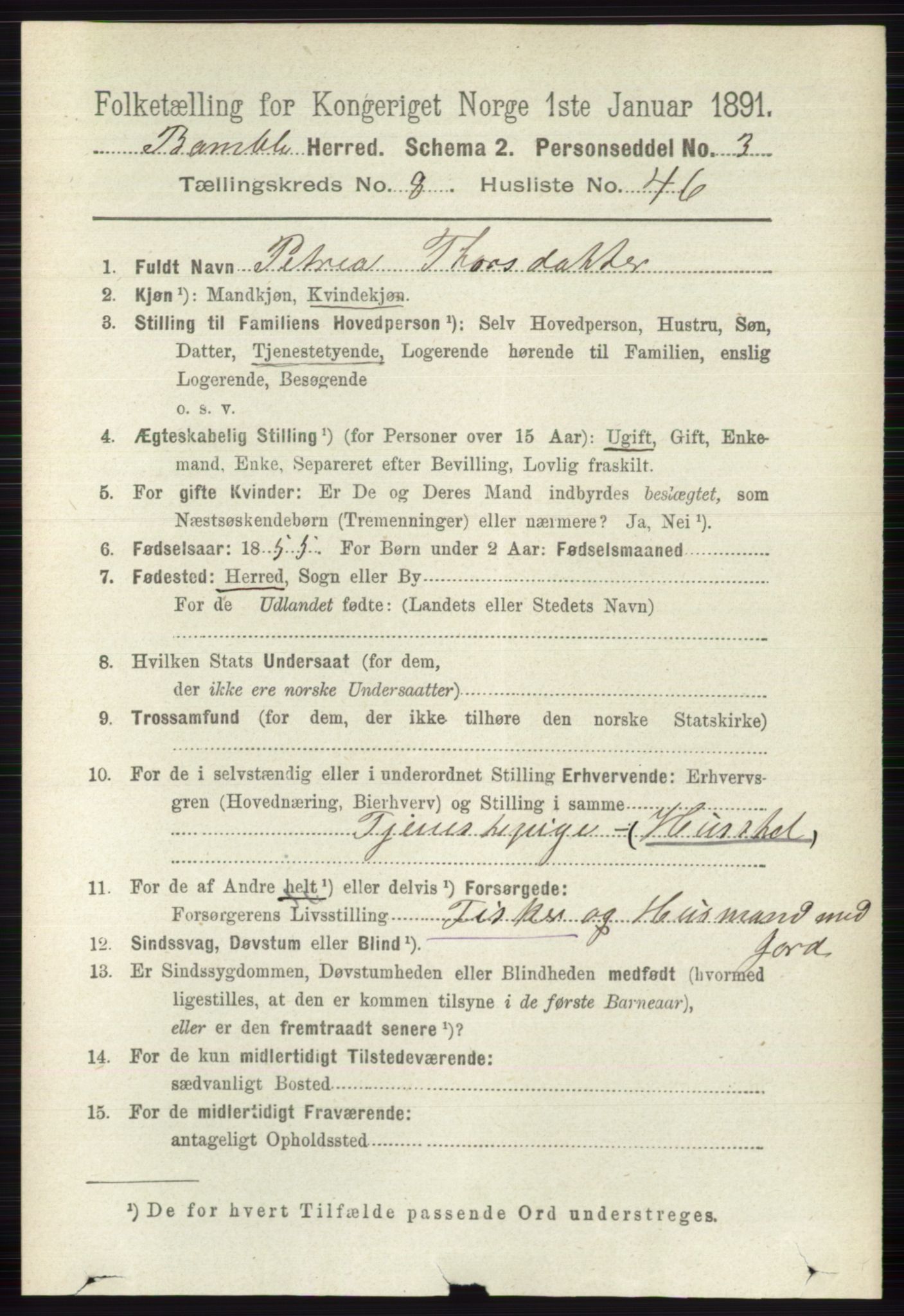 RA, 1891 census for 0814 Bamble, 1891, p. 3787