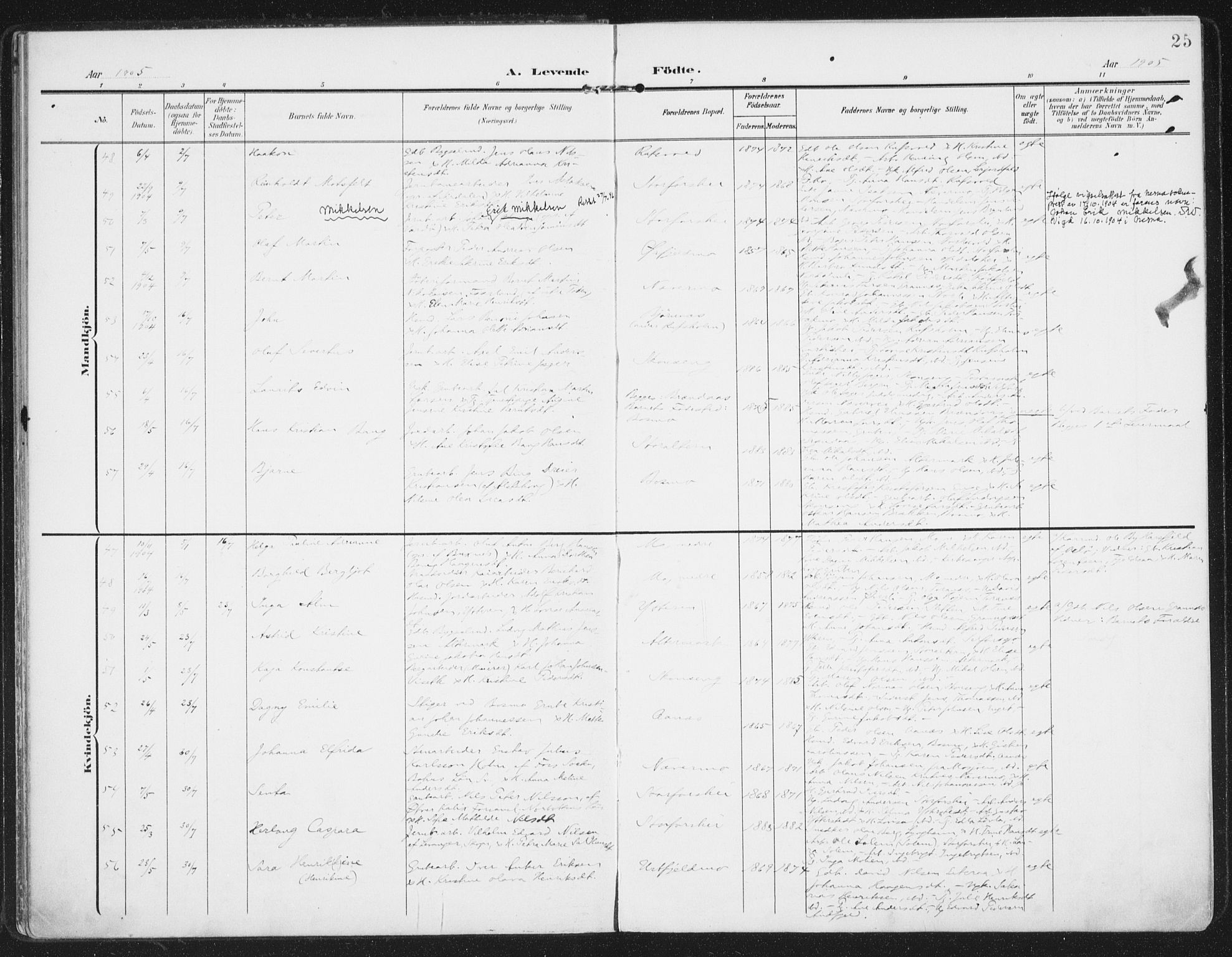 Ministerialprotokoller, klokkerbøker og fødselsregistre - Nordland, SAT/A-1459/827/L0402: Parish register (official) no. 827A14, 1903-1912, p. 25