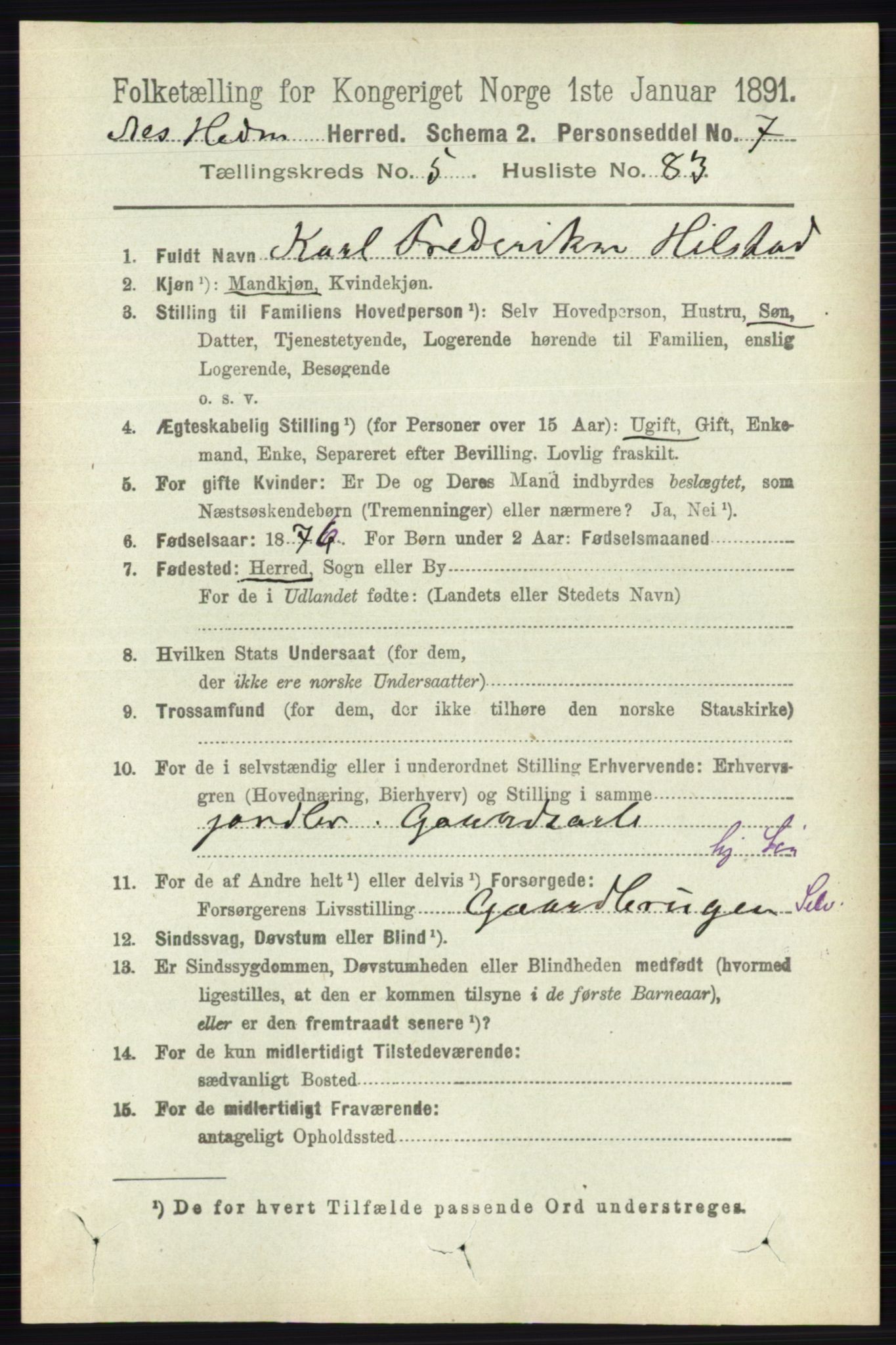 RA, 1891 census for 0411 Nes, 1891, p. 3145
