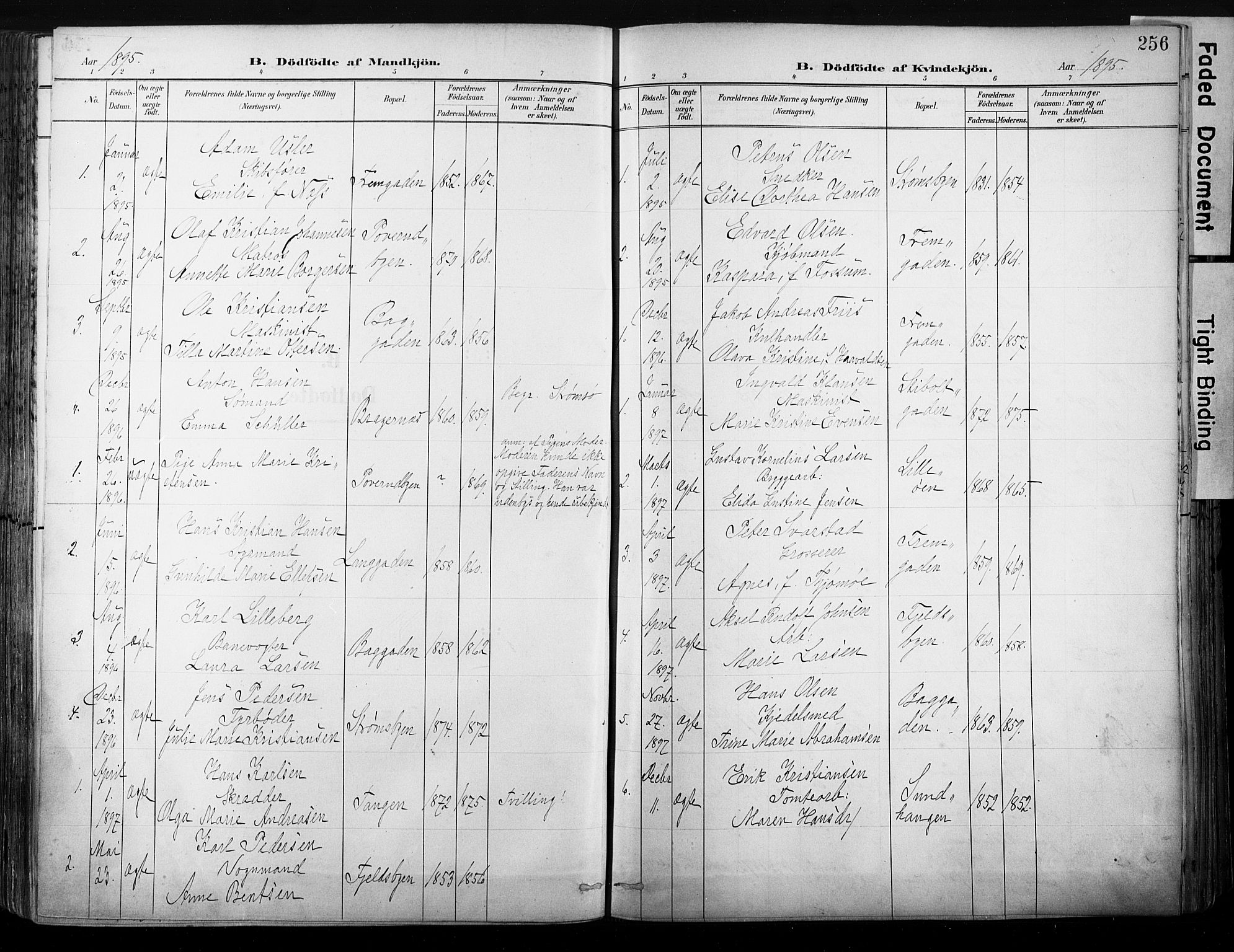 Strømsø kirkebøker, AV/SAKO-A-246/G/Ga/L0003: Parish register (copy) no. 3, 1894-1904, p. 256