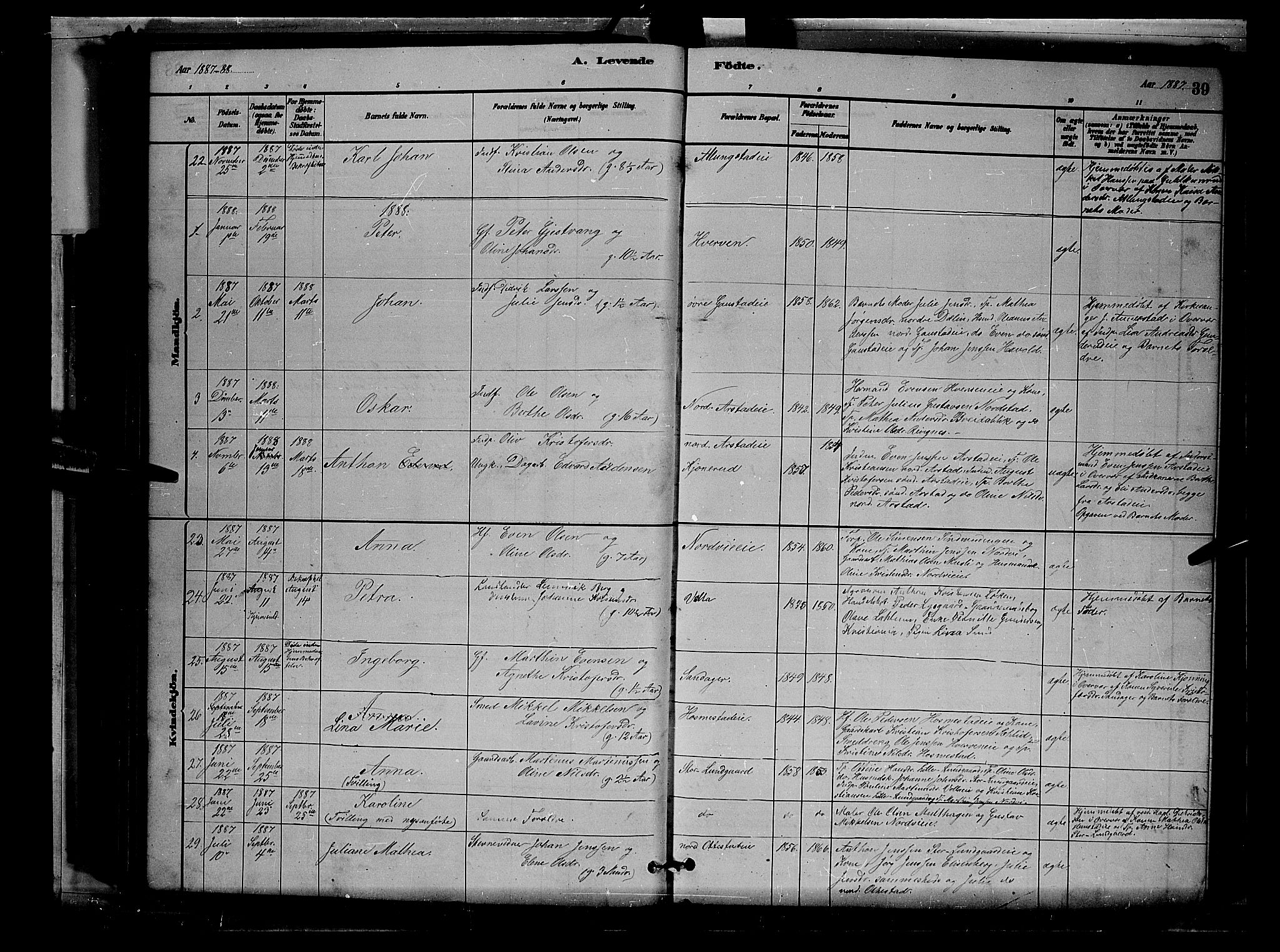 Stange prestekontor, SAH/PREST-002/L/L0007: Parish register (copy) no. 7, 1880-1893, p. 39