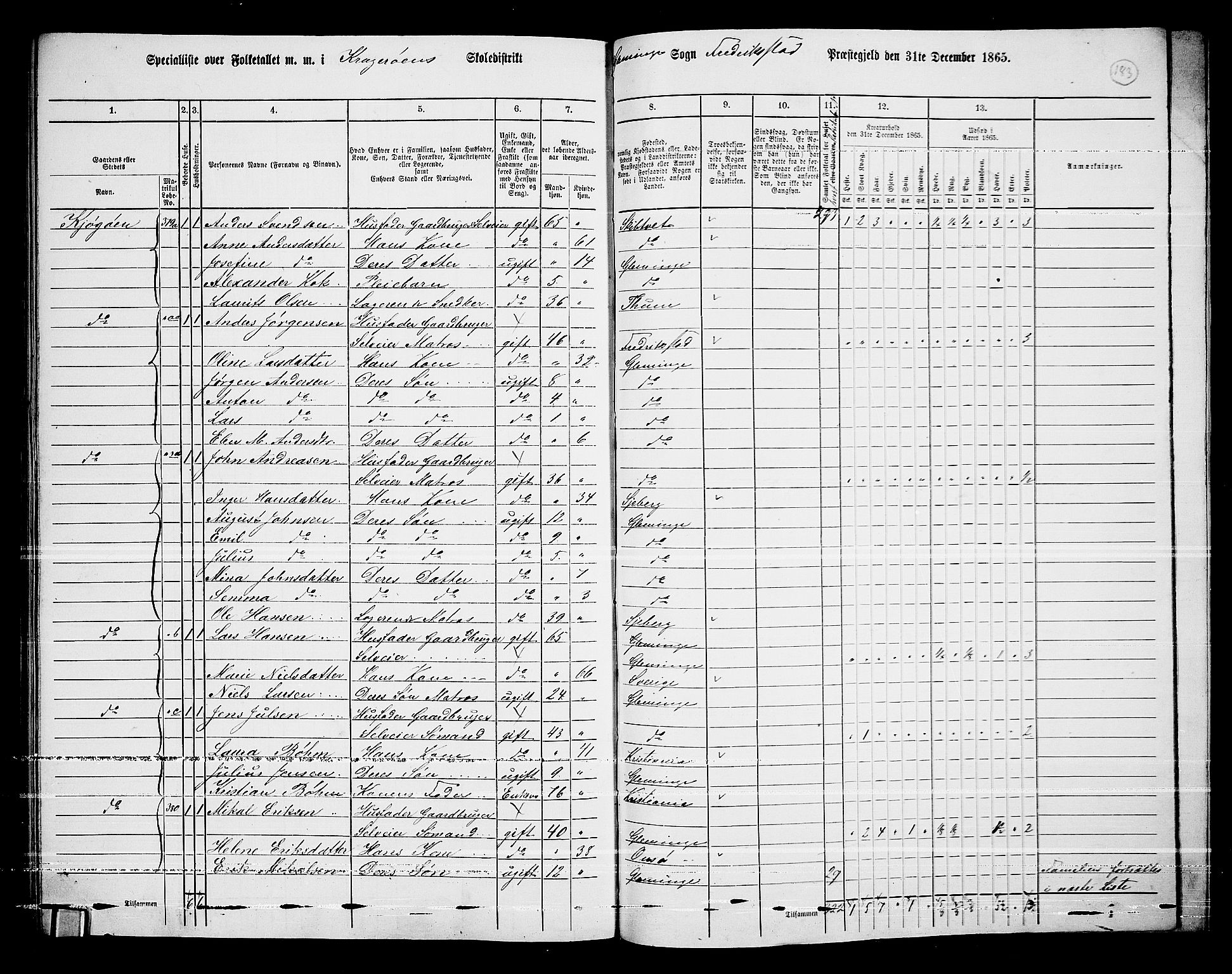 RA, 1865 census for Fredrikstad/Glemmen, 1865, p. 172