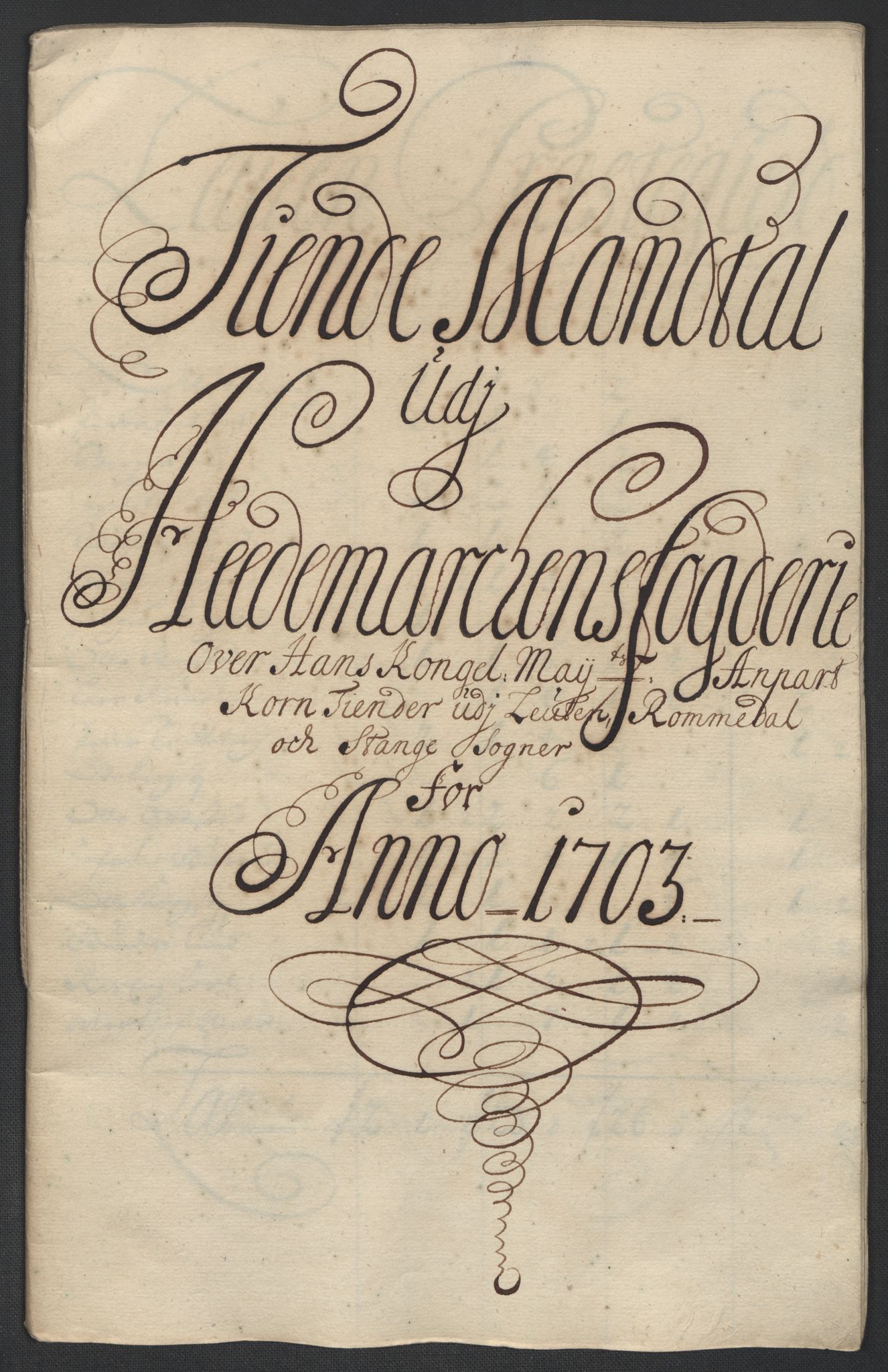 Rentekammeret inntil 1814, Reviderte regnskaper, Fogderegnskap, RA/EA-4092/R16/L1041: Fogderegnskap Hedmark, 1703-1704, p. 48