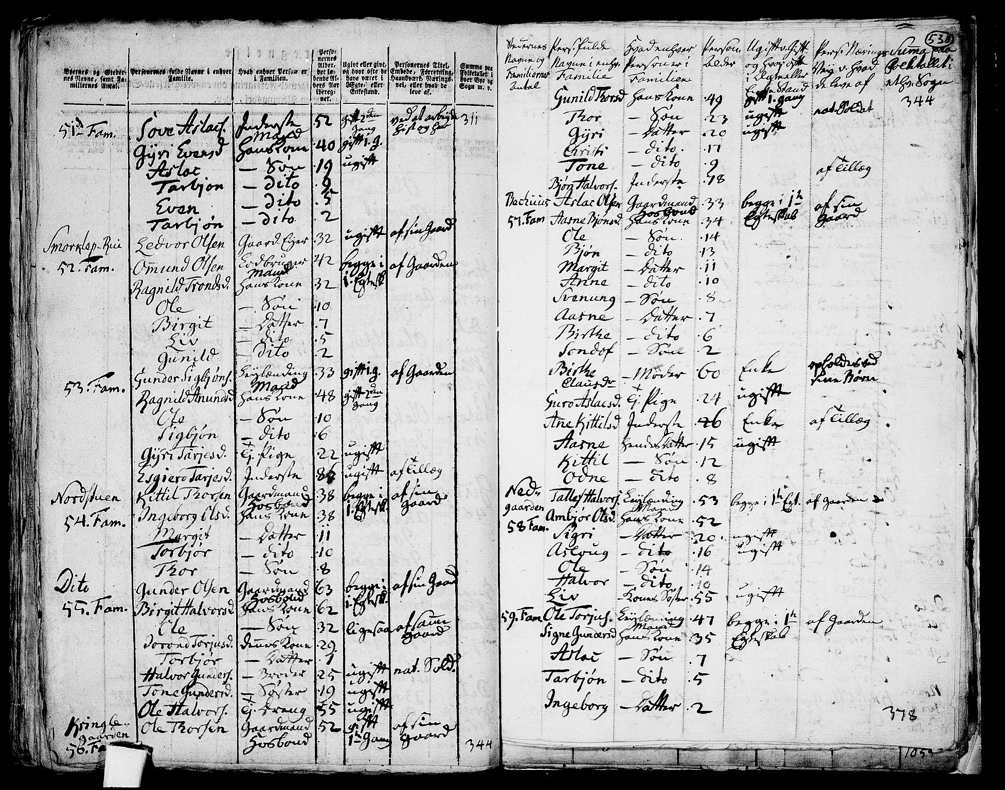 RA, 1801 census for 0834P Vinje, 1801, p. 529b-530a