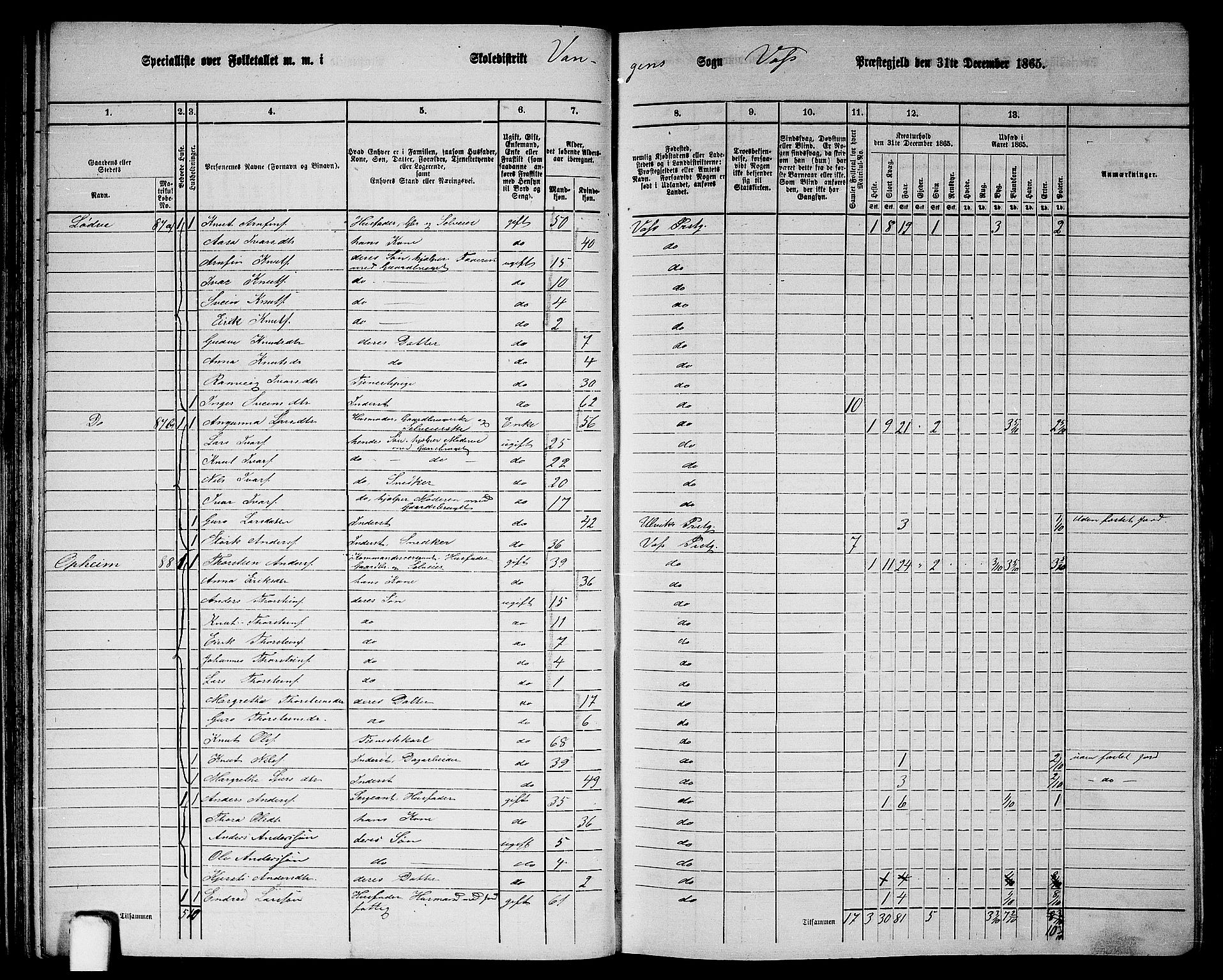 RA, 1865 census for Voss, 1865, p. 46