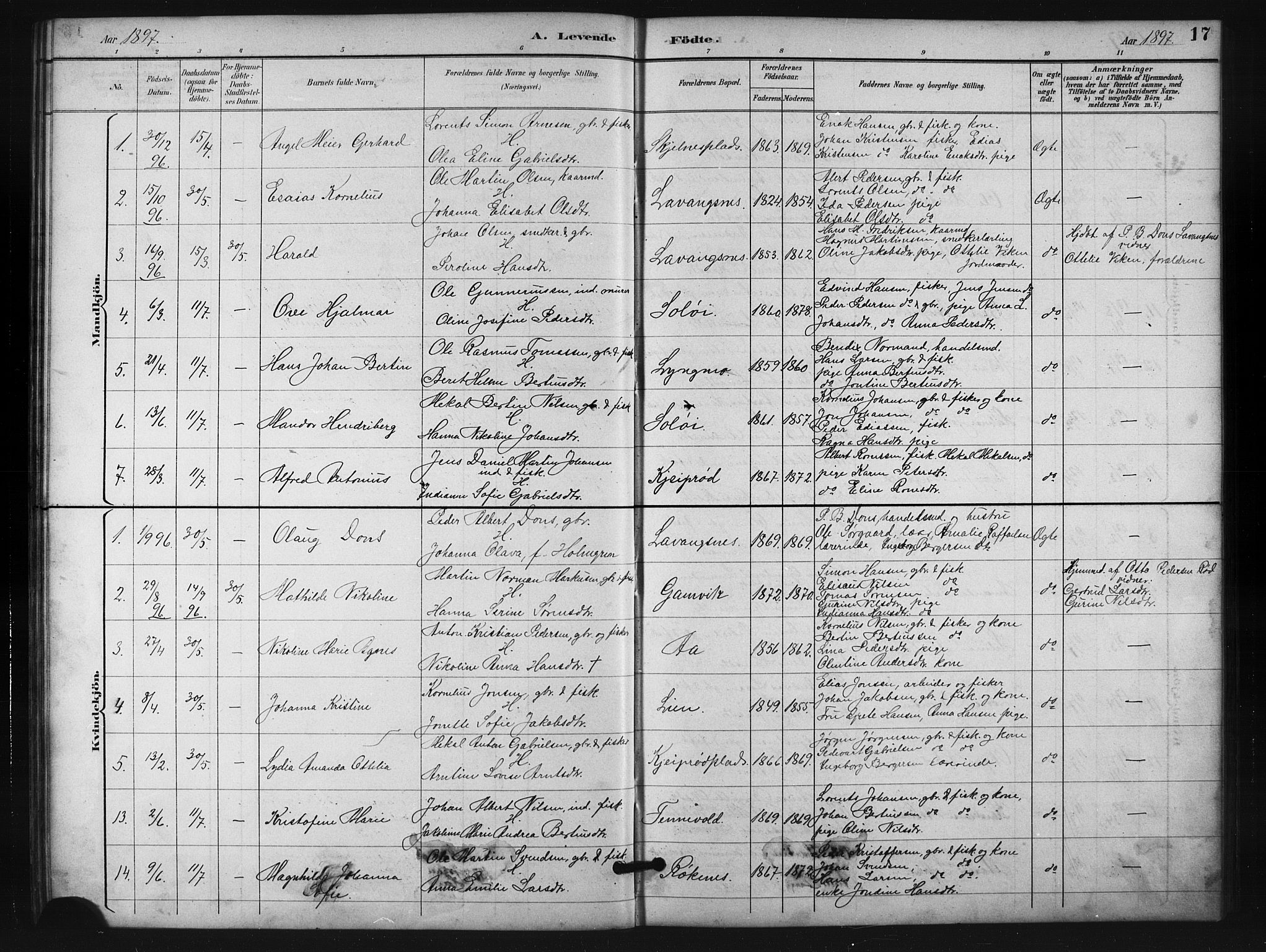 Salangen sokneprestembete, SATØ/S-1324/H/Ha/L0001klokker: Parish register (copy) no. 1, 1893-1910, p. 17