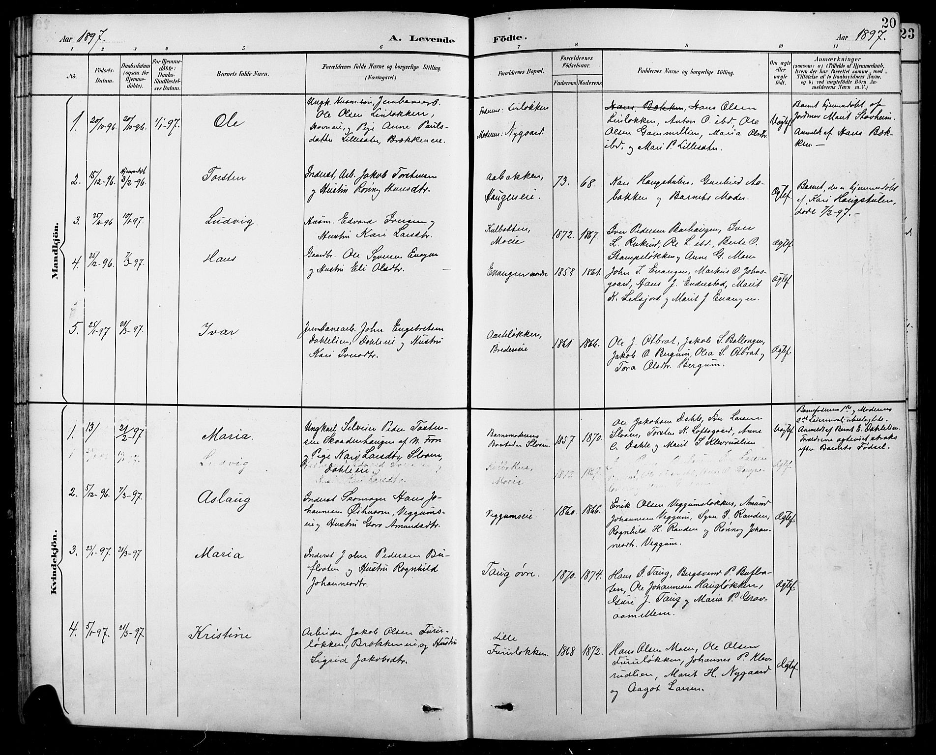 Sel prestekontor, SAH/PREST-074/H/Ha/Hab/L0001: Parish register (copy) no. 1, 1894-1923, p. 20