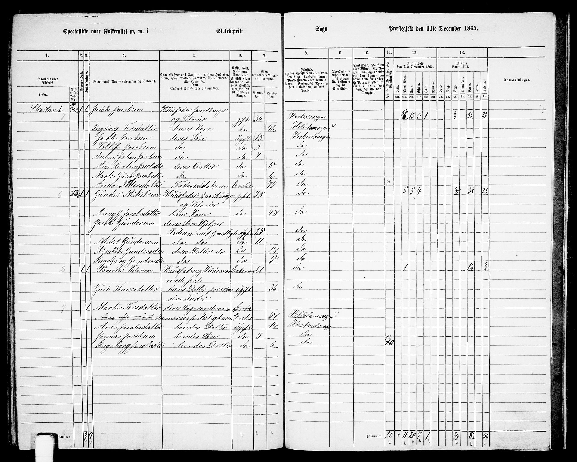 RA, 1865 census for Lund, 1865, p. 105