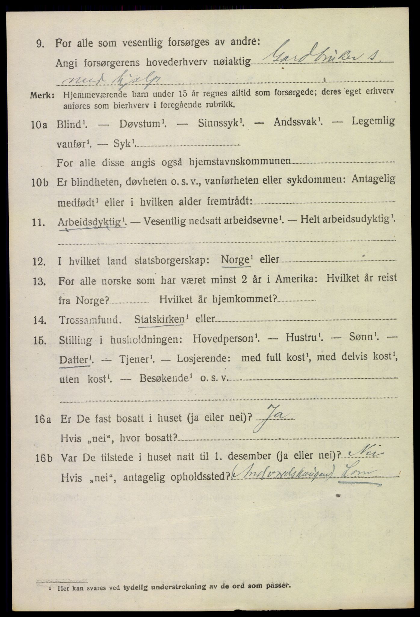 SAH, 1920 census for Lom, 1920, p. 4763