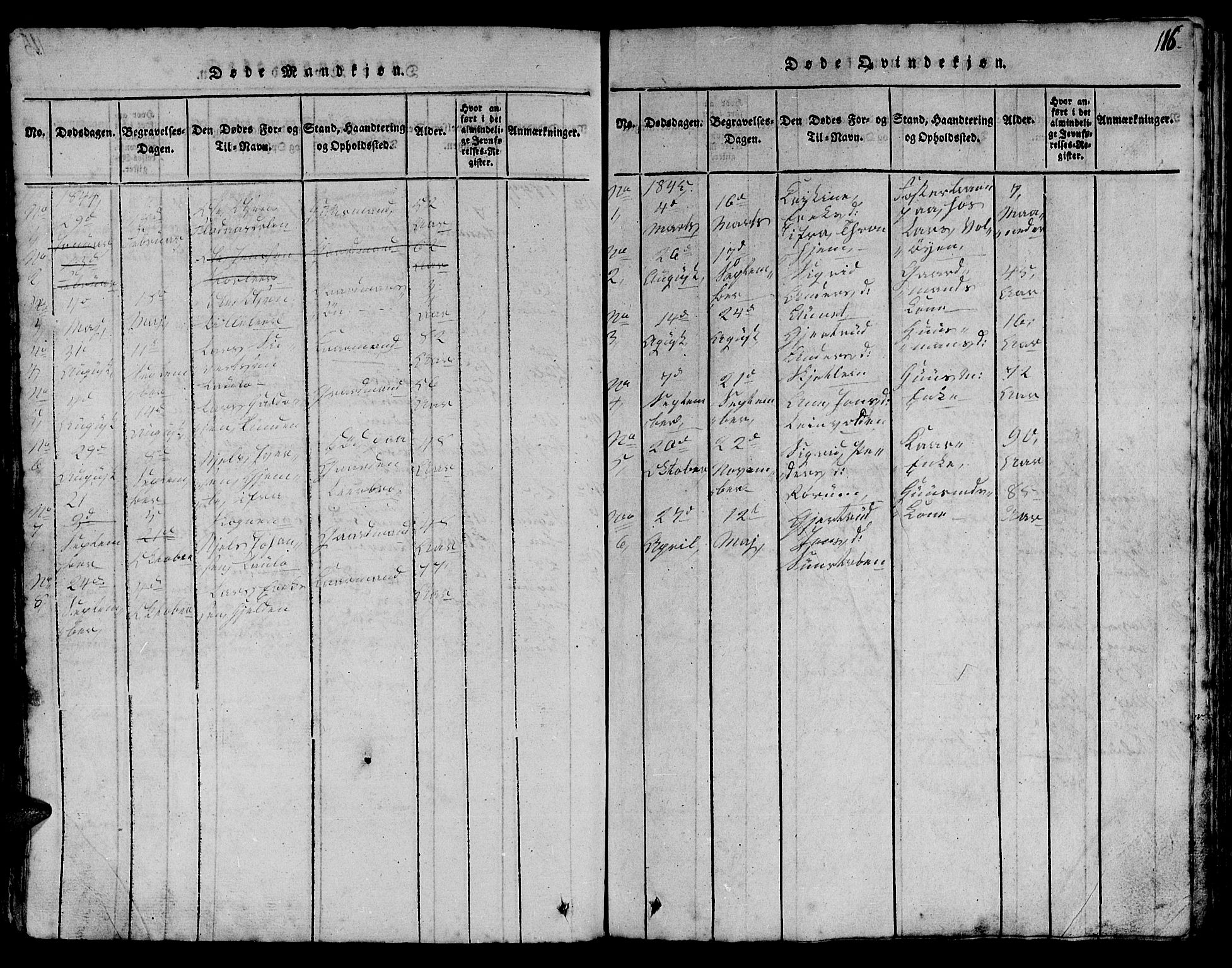 Ministerialprotokoller, klokkerbøker og fødselsregistre - Sør-Trøndelag, SAT/A-1456/613/L0393: Parish register (copy) no. 613C01, 1816-1886, p. 116