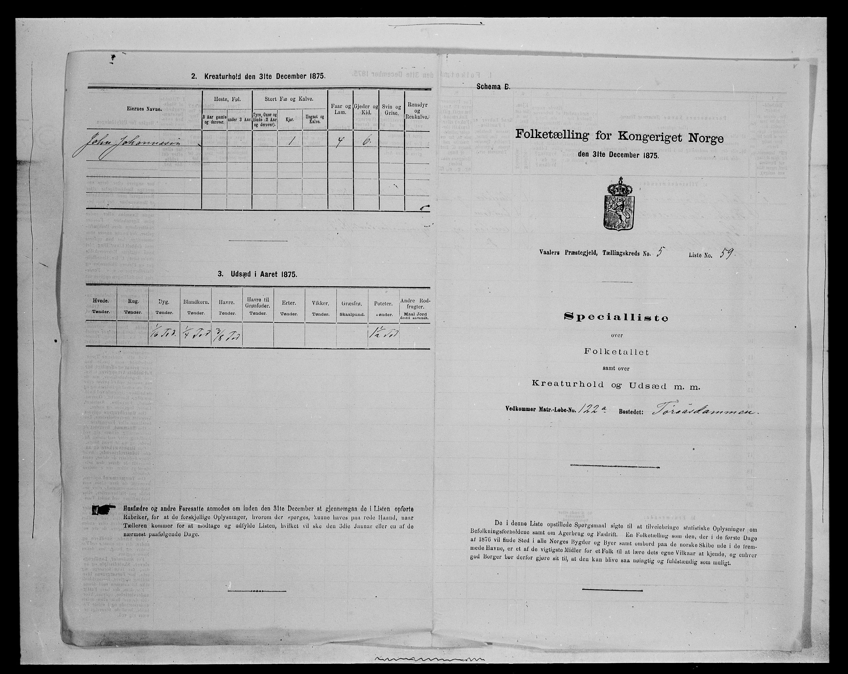 SAH, 1875 census for 0426P Våler parish (Hedmark), 1875, p. 704