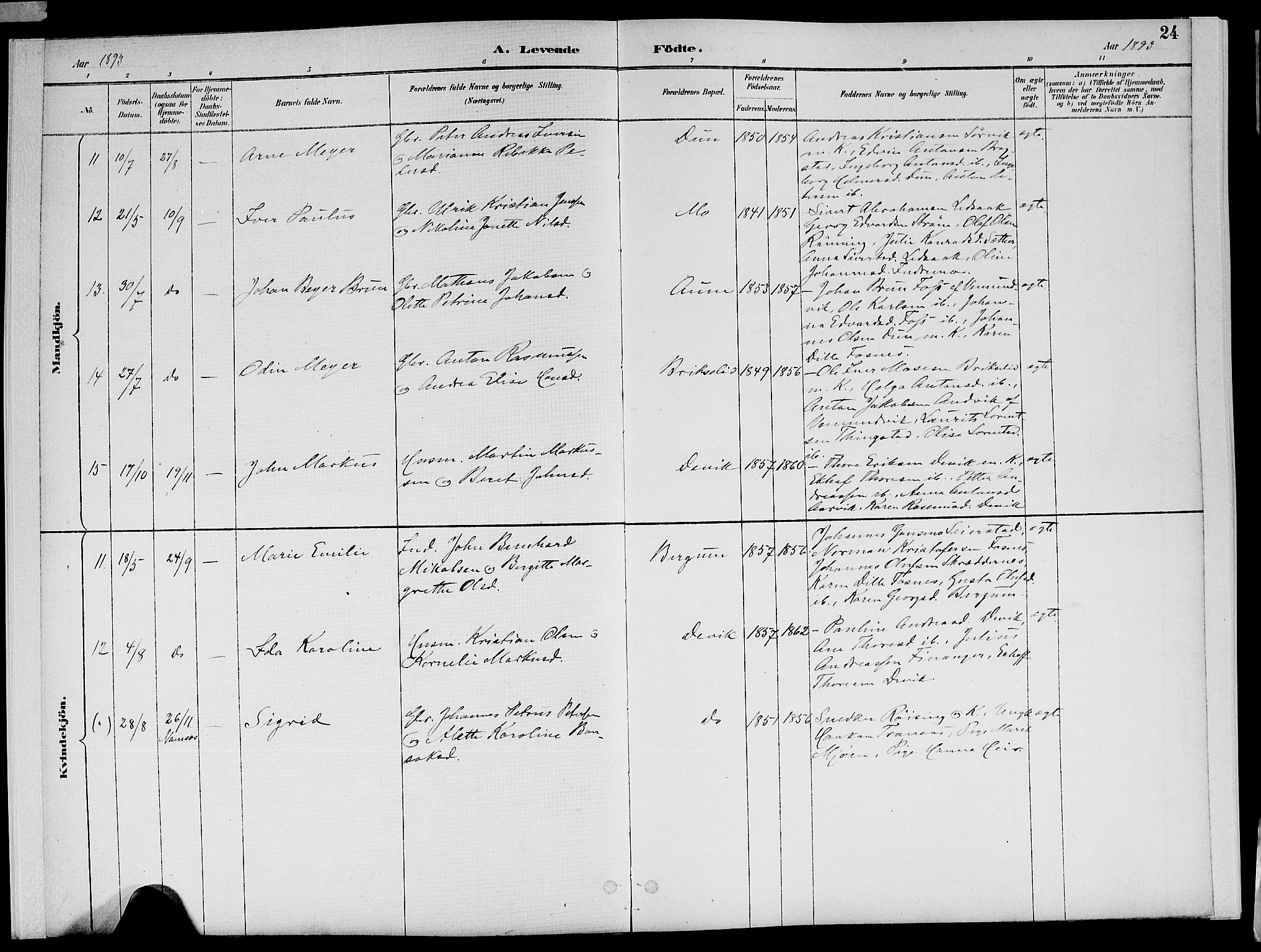 Ministerialprotokoller, klokkerbøker og fødselsregistre - Nord-Trøndelag, SAT/A-1458/773/L0617: Parish register (official) no. 773A08, 1887-1910, p. 24