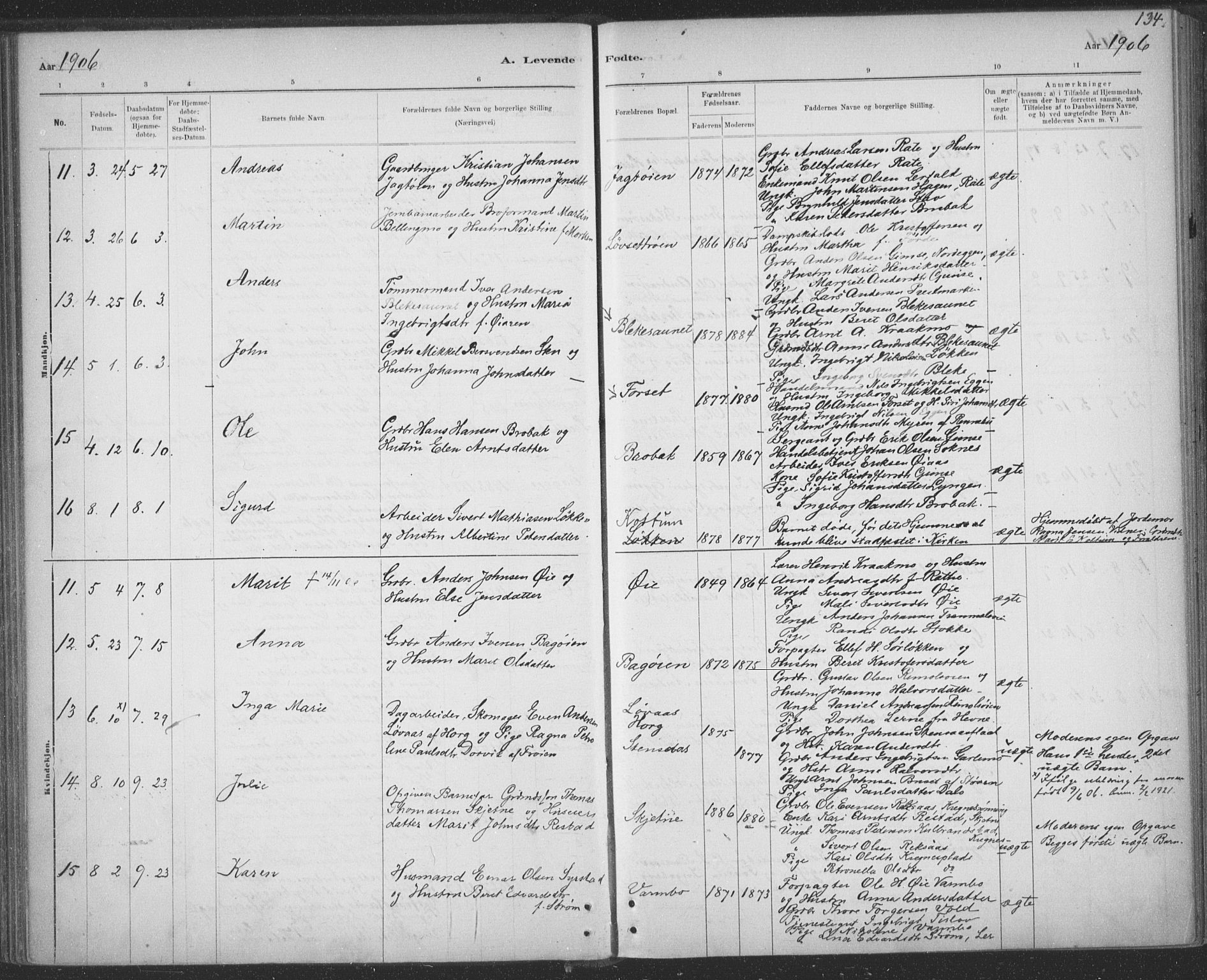Ministerialprotokoller, klokkerbøker og fødselsregistre - Sør-Trøndelag, SAT/A-1456/691/L1085: Parish register (official) no. 691A17, 1887-1908, p. 134