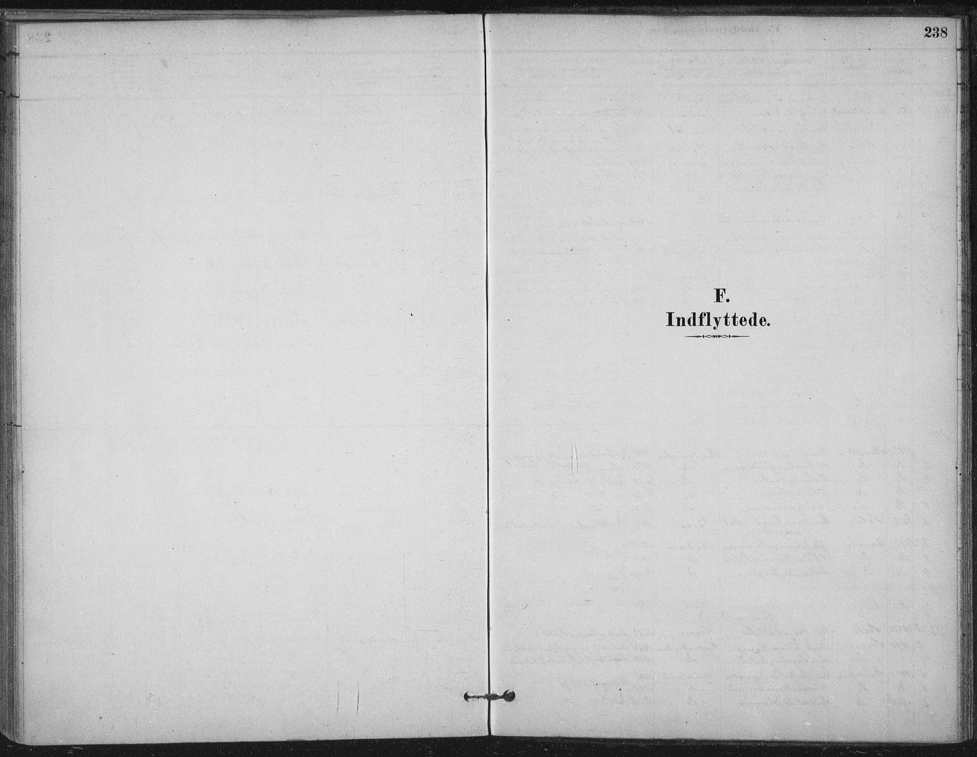 Ministerialprotokoller, klokkerbøker og fødselsregistre - Nord-Trøndelag, AV/SAT-A-1458/710/L0095: Parish register (official) no. 710A01, 1880-1914, p. 238