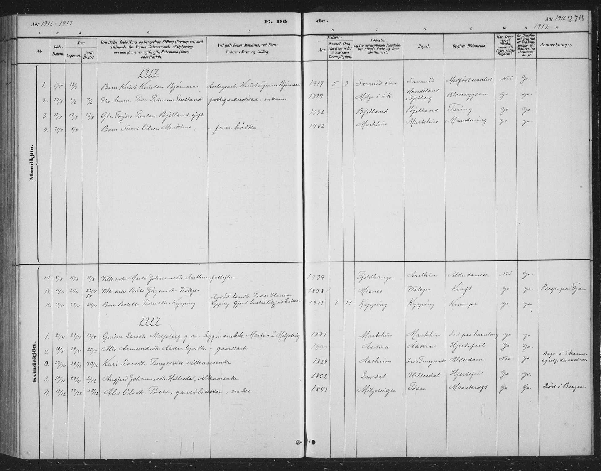 Skånevik sokneprestembete, AV/SAB-A-77801/H/Hab: Parish register (copy) no. B 2, 1881-1920, p. 276