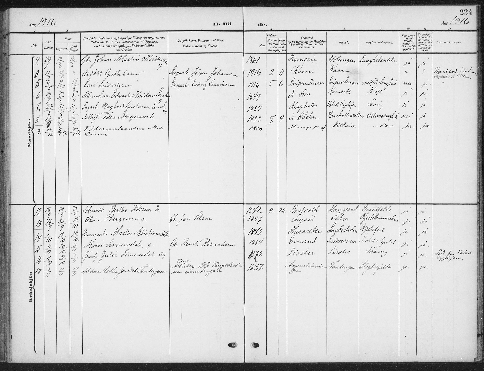 Romedal prestekontor, SAH/PREST-004/K/L0009: Parish register (official) no. 9, 1906-1929, p. 224