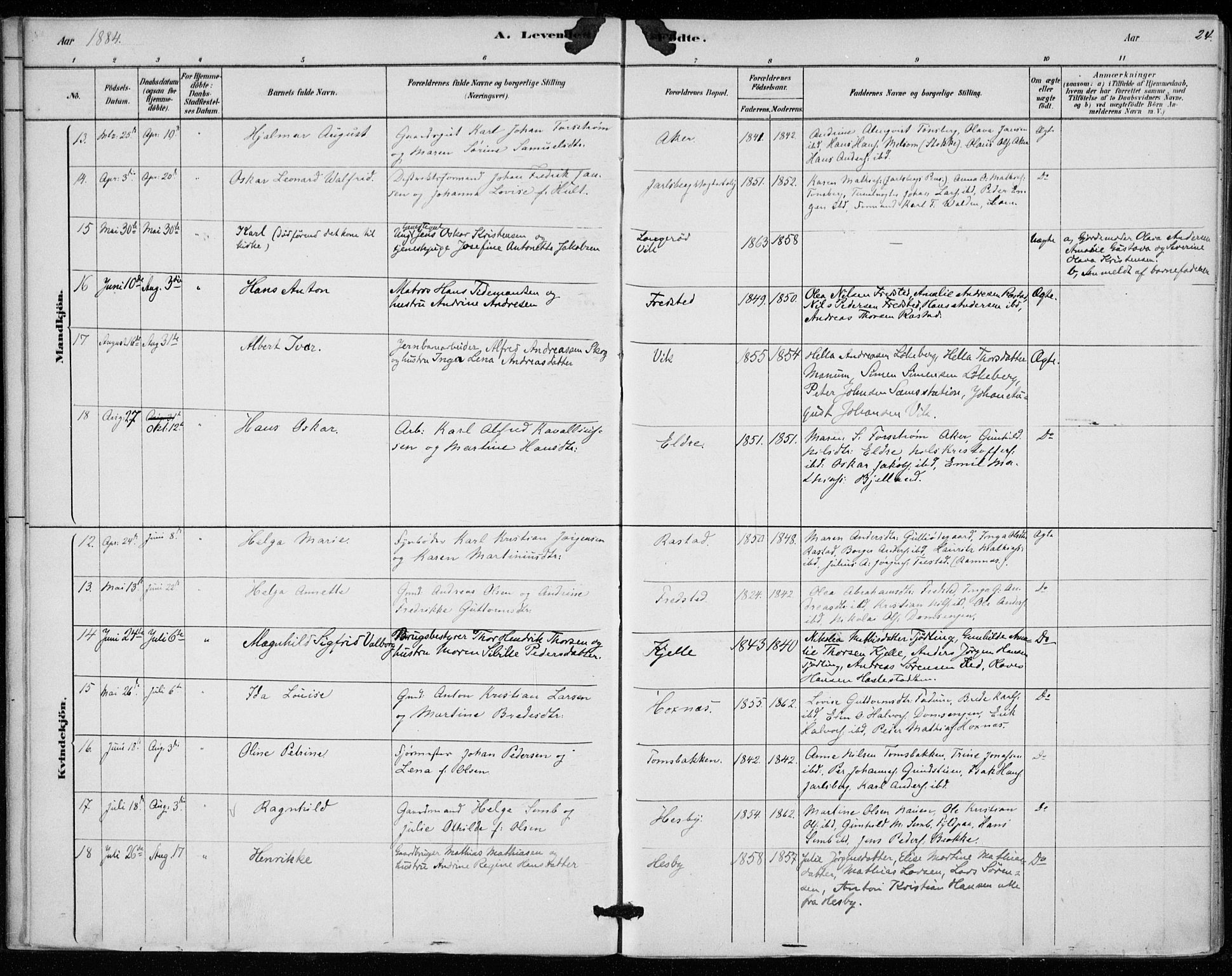 Sem kirkebøker, AV/SAKO-A-5/F/Fa/L0010: Parish register (official) no. I 10, 1878-1887, p. 24