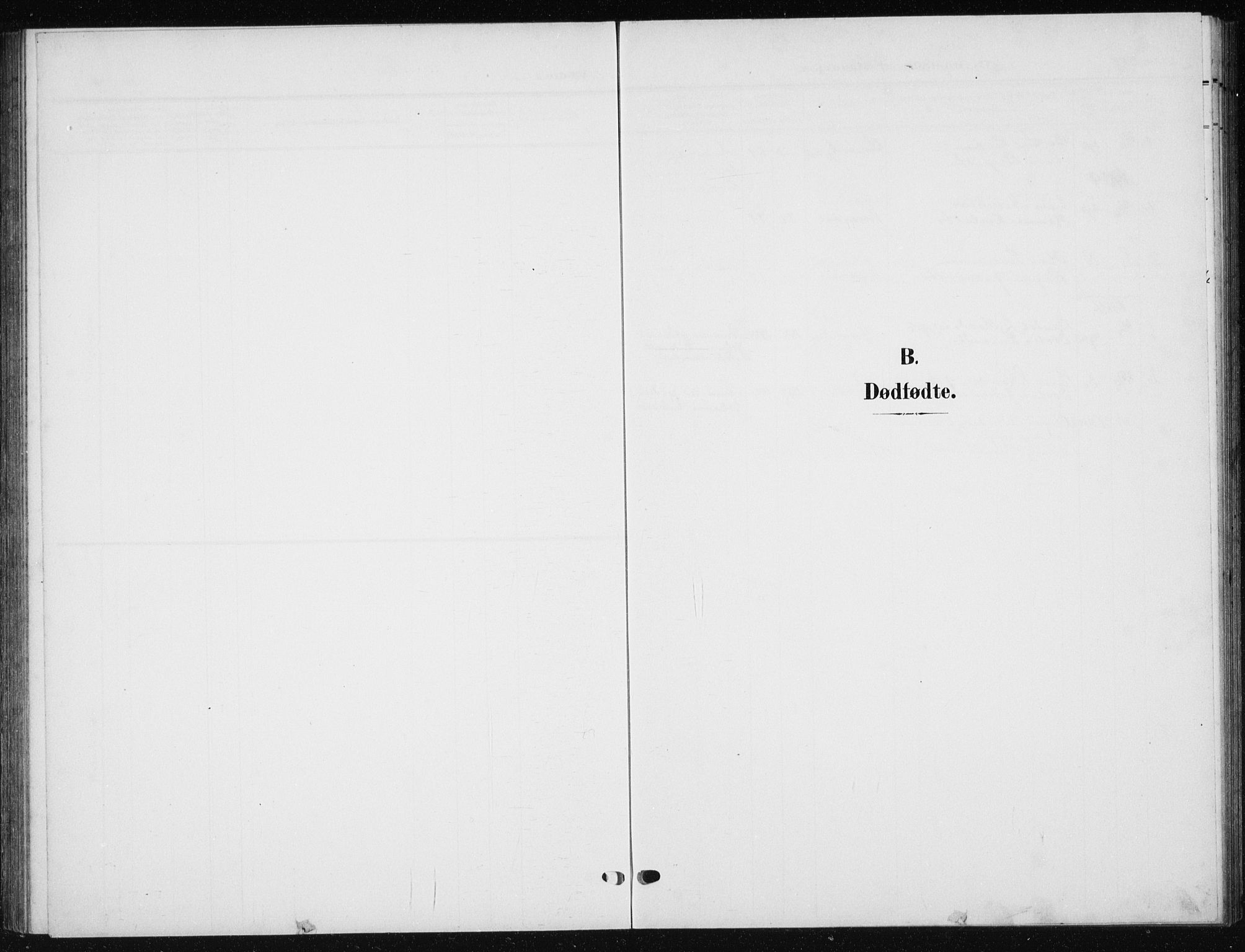 Ministerialprotokoller, klokkerbøker og fødselsregistre - Møre og Romsdal, AV/SAT-A-1454/504/L0061: Parish register (copy) no. 504C03, 1902-1940